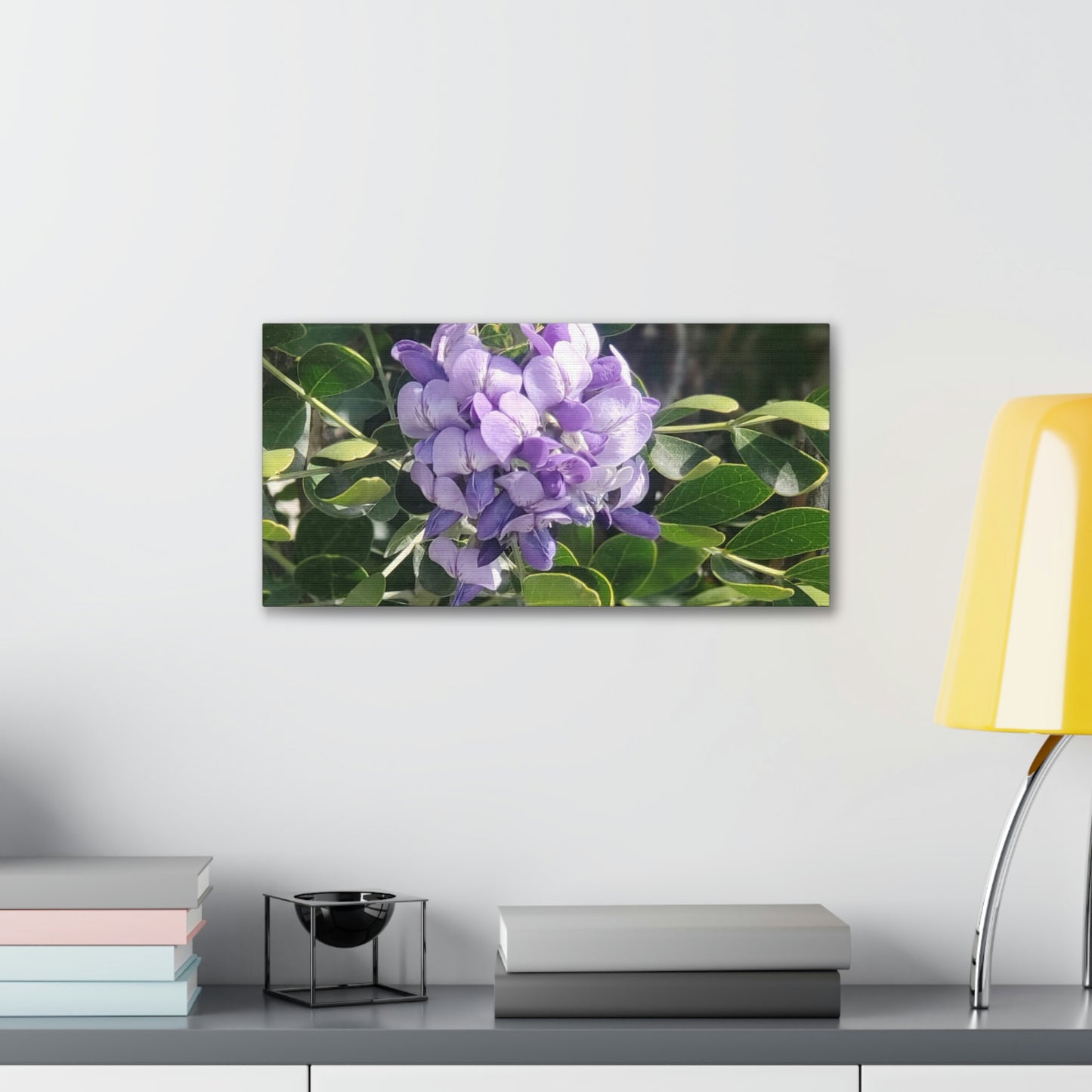 Purple Texas Mountain Laurel | Wall Art Canvas