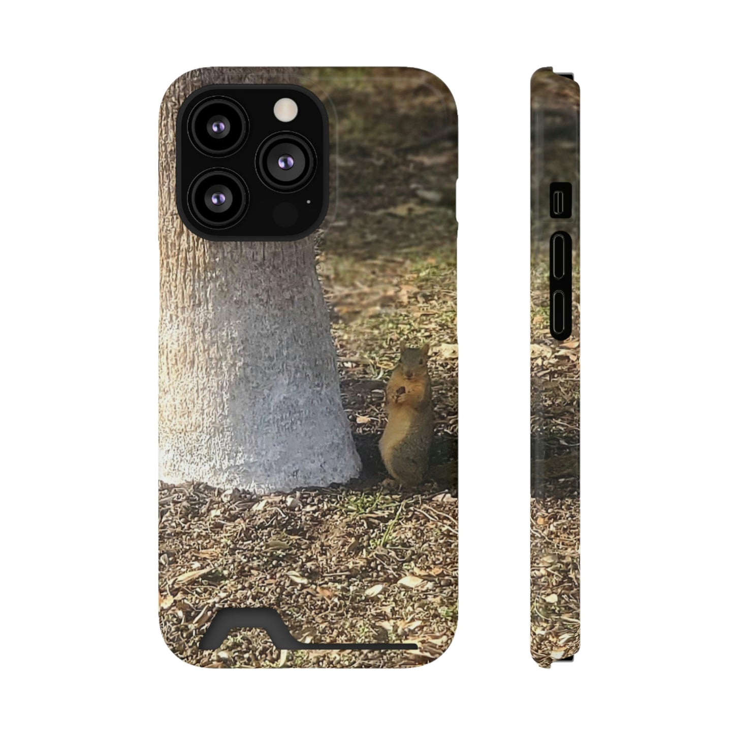 Squirrel and A Nut | Phone Case with Card Holder | Urban Geographic Collection | Life By Ortavia