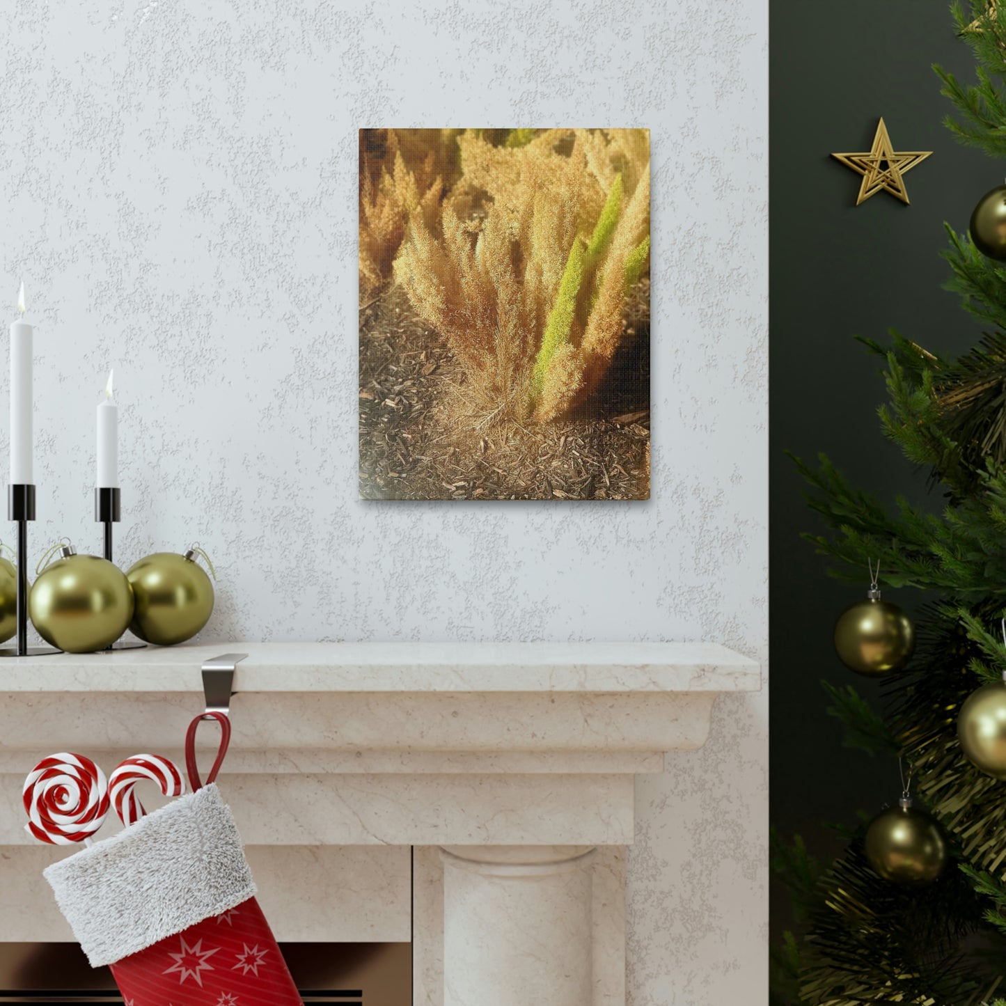 Golden Foxtail Fern | Wall Art Canvas | High Bloom Collection | Life By Ortavia