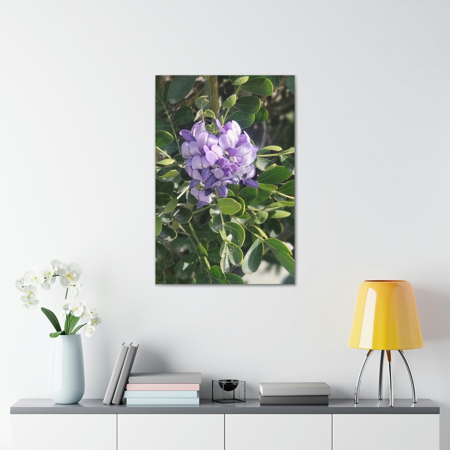 Purple Texas Mountain Laurel | Wall Art Canvas