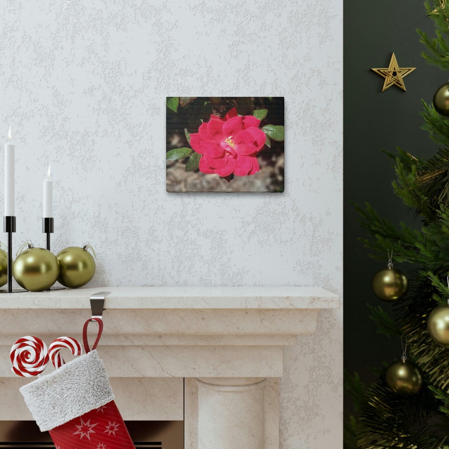 Knockout | Wall Art Print | High Bloom Collection | Life By Ortavia