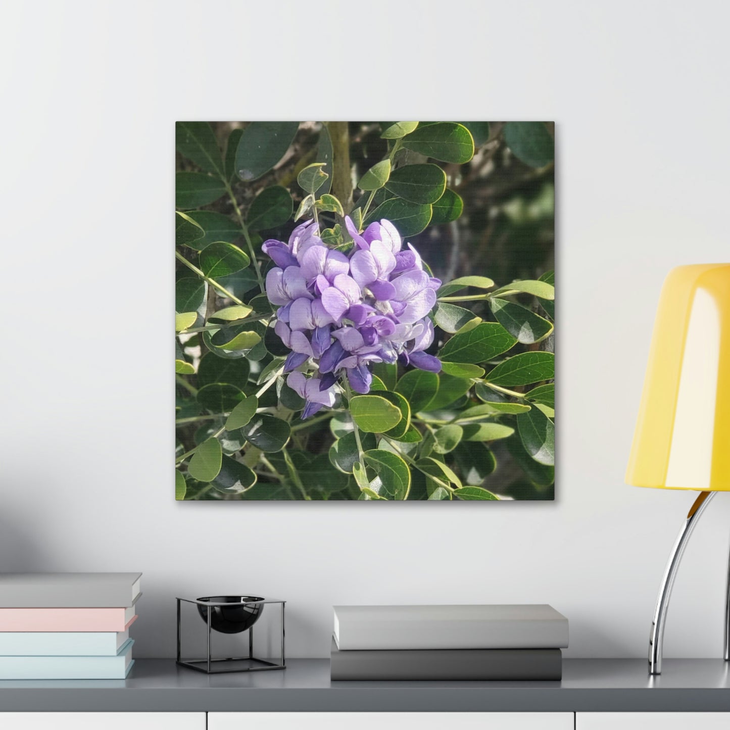 Purple Texas Mountain Laurel | Wall Art Canvas