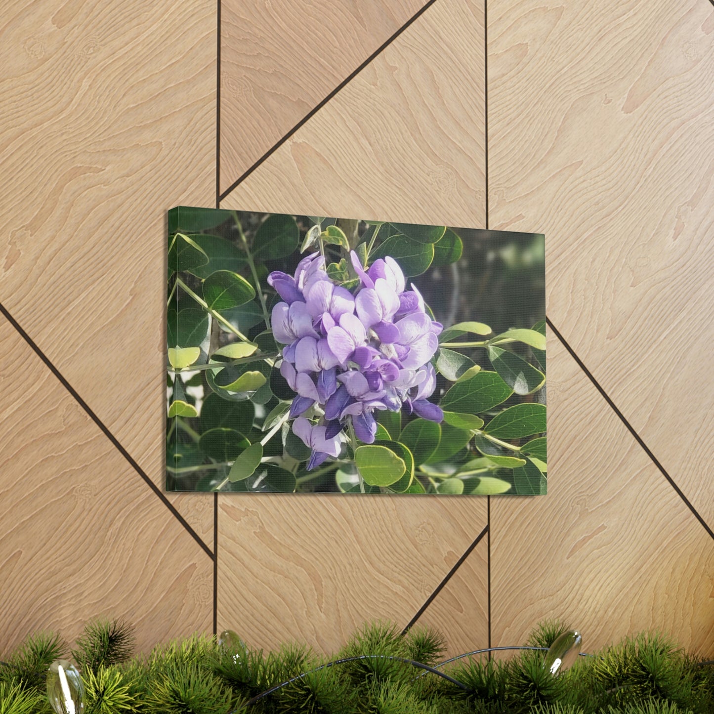 Purple Texas Mountain Laurel | Wall Art Canvas