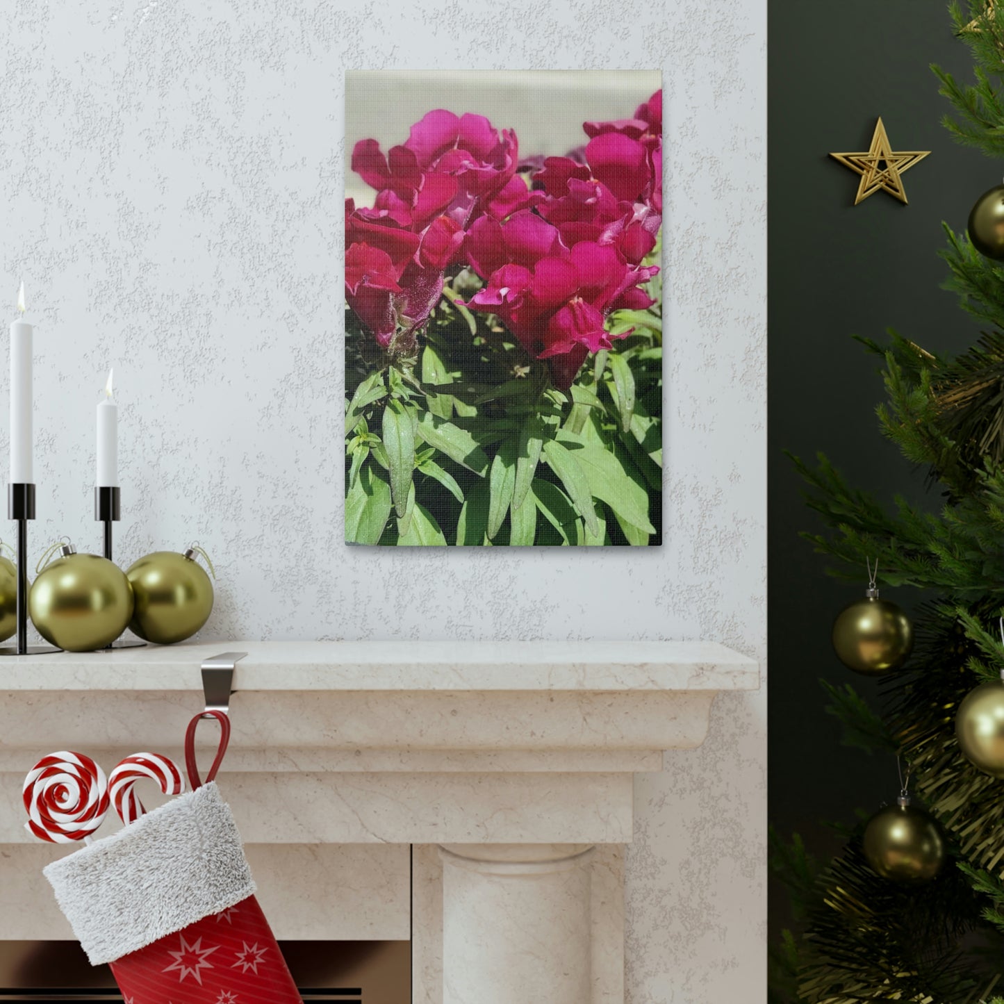 Magenta Snapdragon | Wall Art Canvas | High Bloom Collection | Life By Ortavia