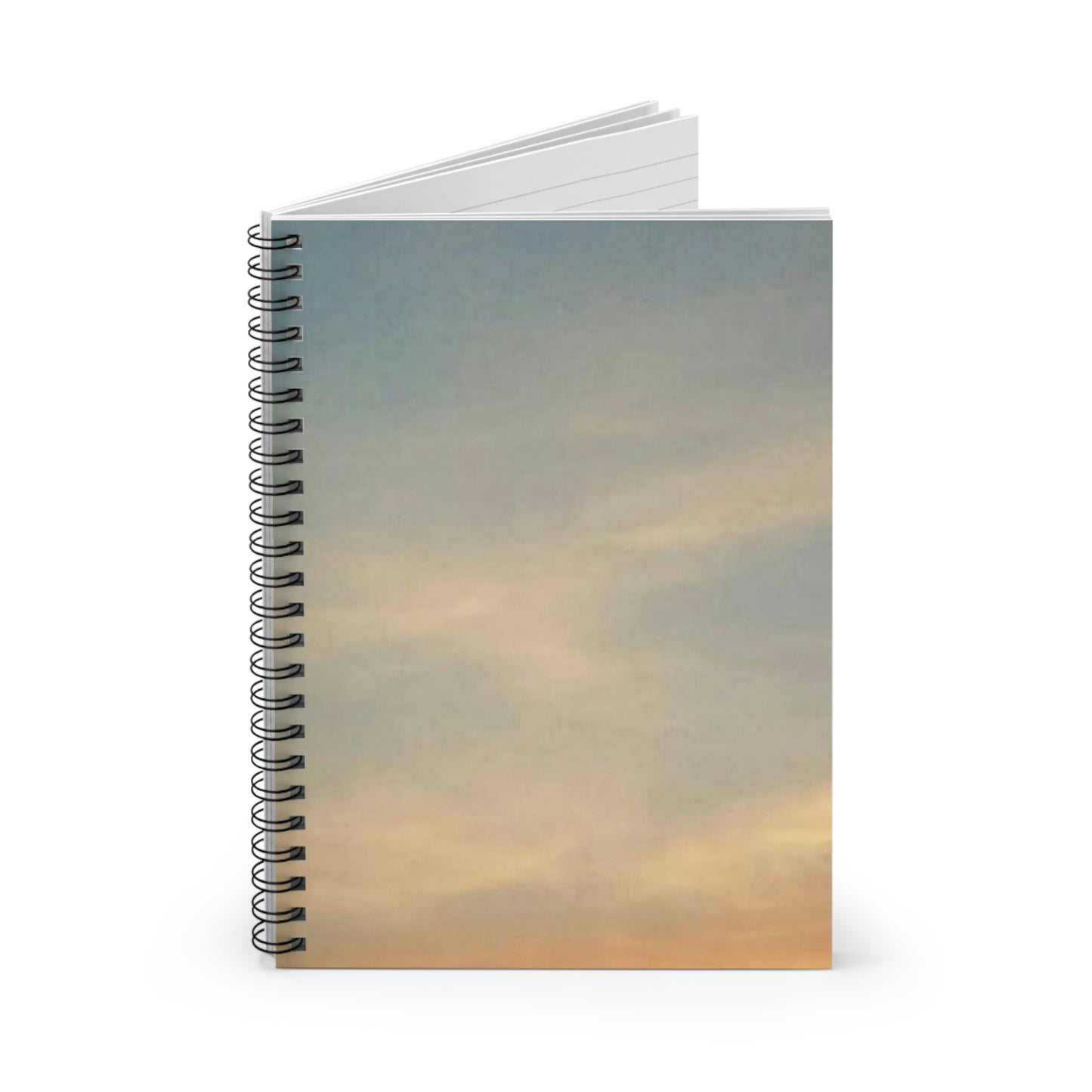 Pink and Blue Skies | Spiral Notebook 118 pg Ruled | Life By Ortavia