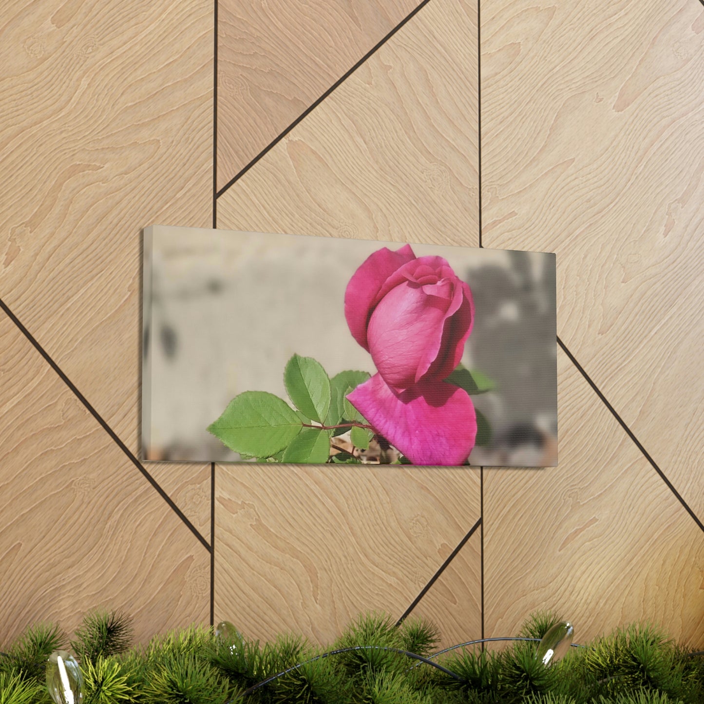 Dear Pink Rosa | High Bloom Collection | Canvas | Life By Ortavia