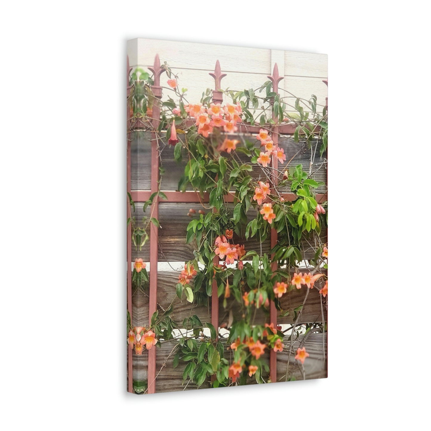 Flowers On A Rugged Fence | Wall Art Canvas | High Bloom Collection | Life By Ortavia