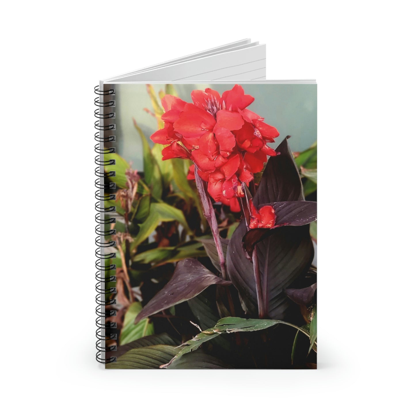 Red Canna | Spiral Notebook 118 pg Ruled | High Bloom Collection | Life By Ortavia