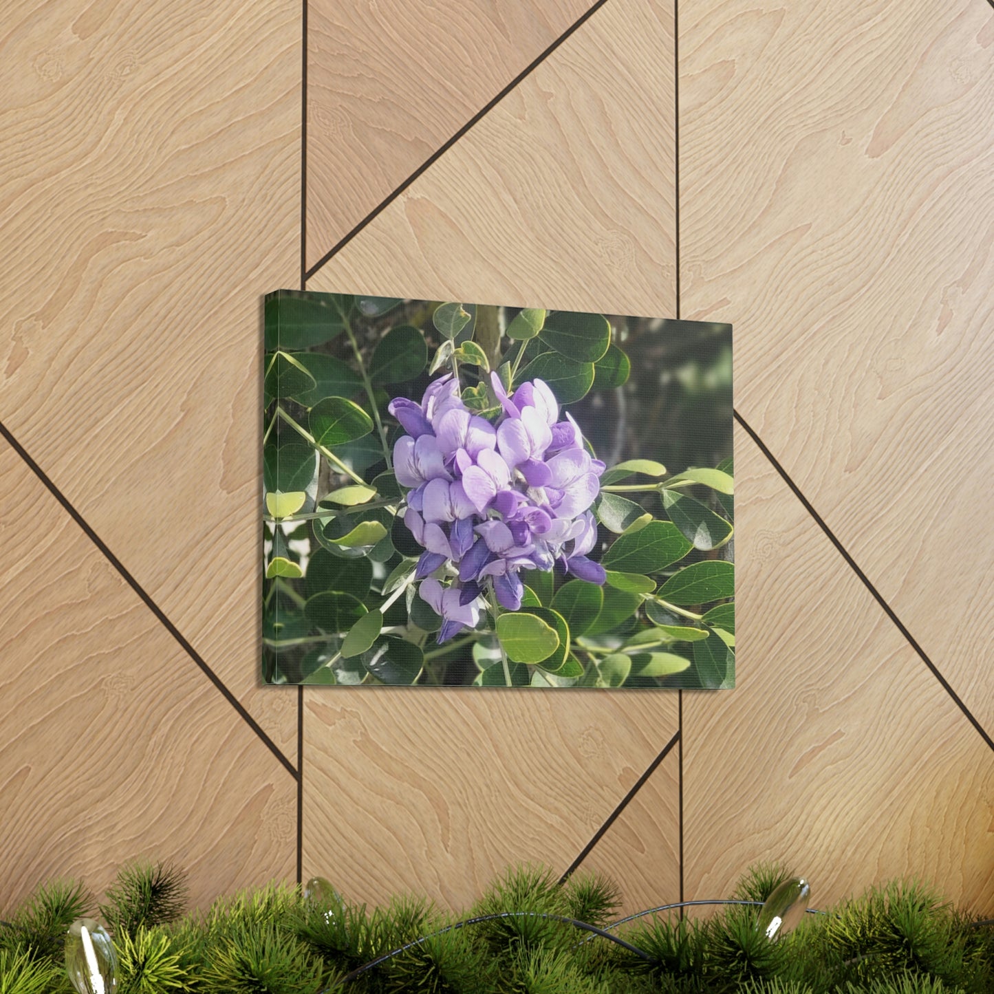 Purple Texas Mountain Laurel | Wall Art Canvas