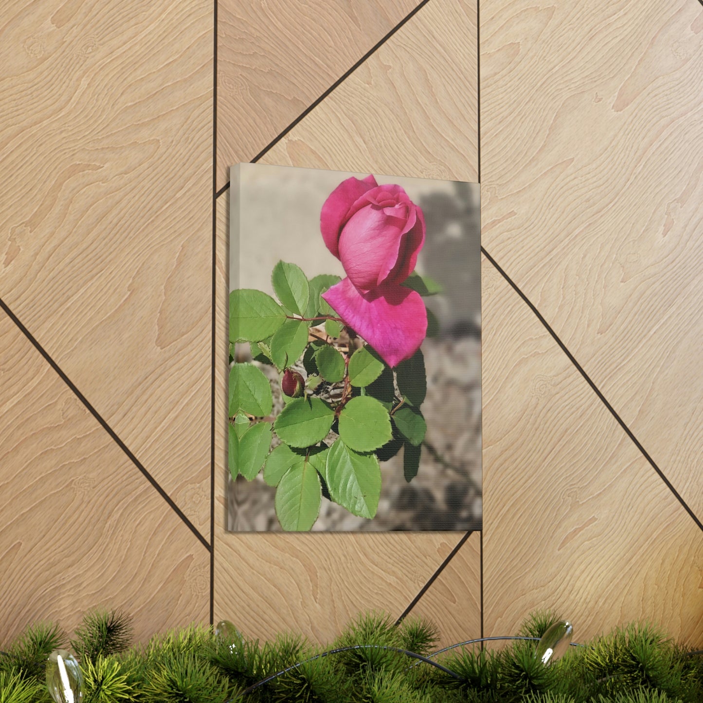 Dear Pink Rosa | High Bloom Collection | Canvas | Life By Ortavia