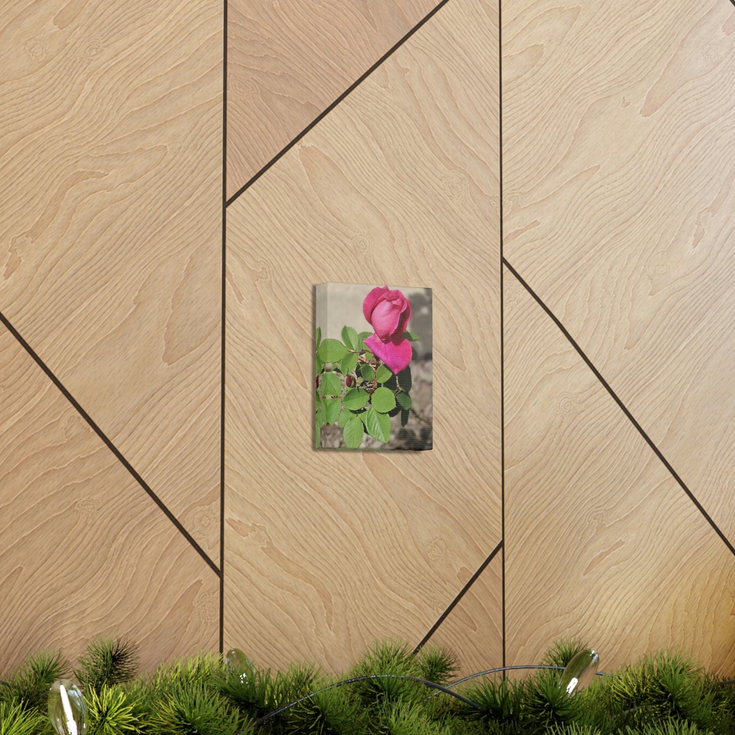 Dear Pink Rosa | High Bloom Collection | Canvas | Life By Ortavia
