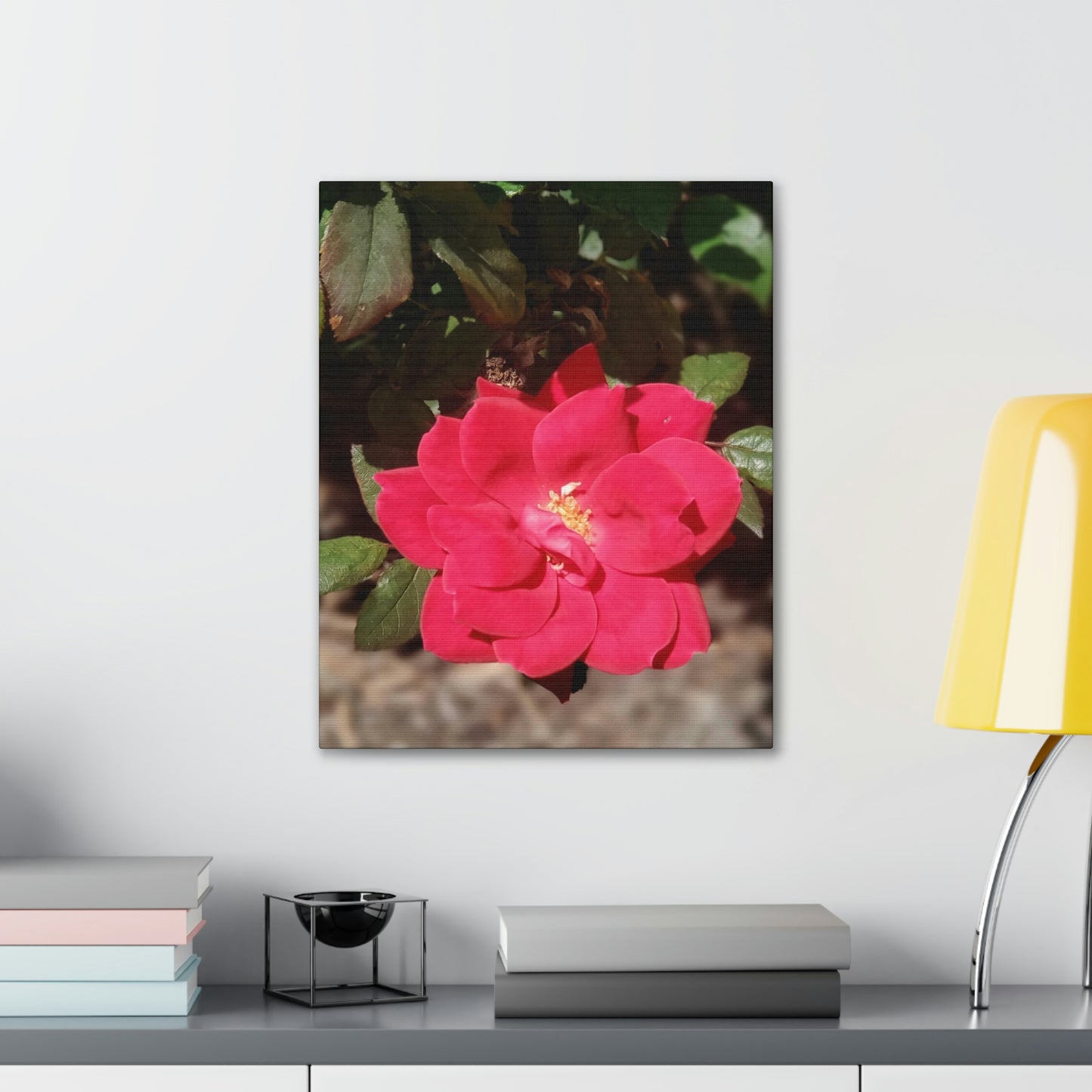 Knockout | Wall Art Print | High Bloom Collection | Life By Ortavia