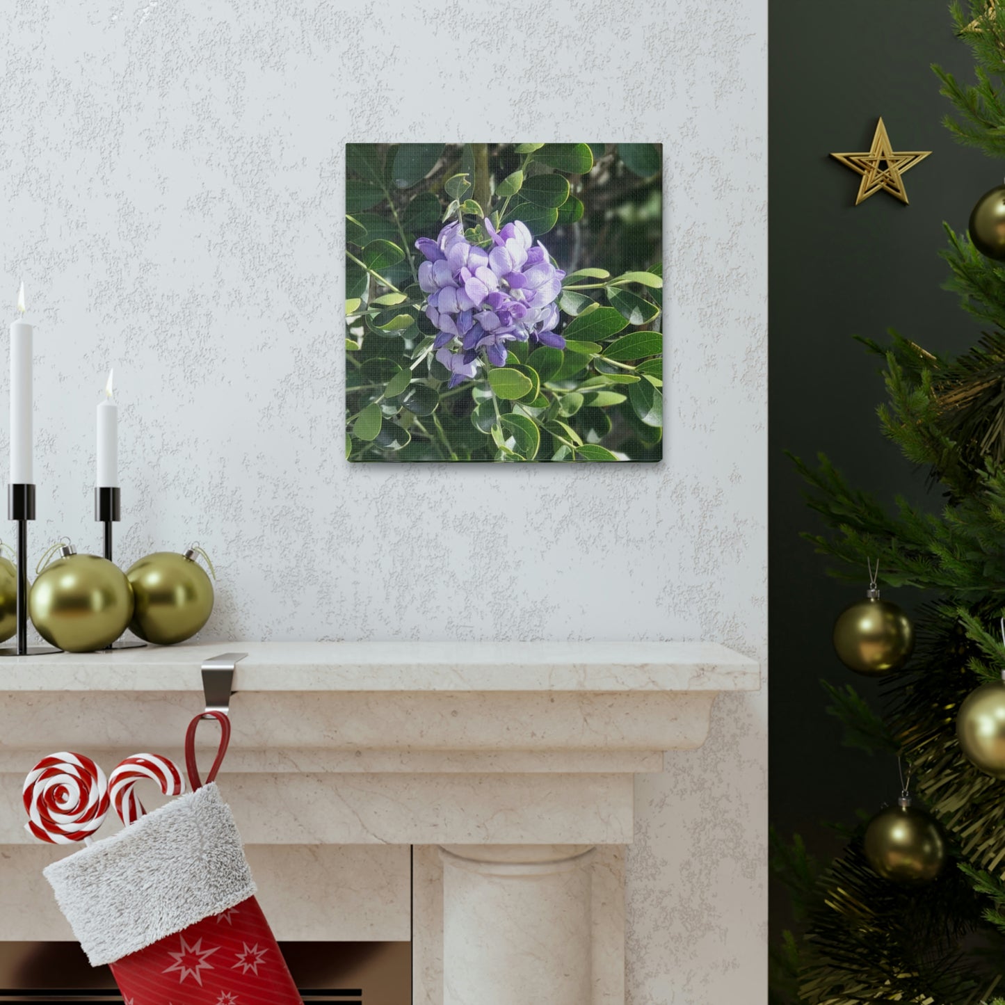 Purple Texas Mountain Laurel | Wall Art Canvas