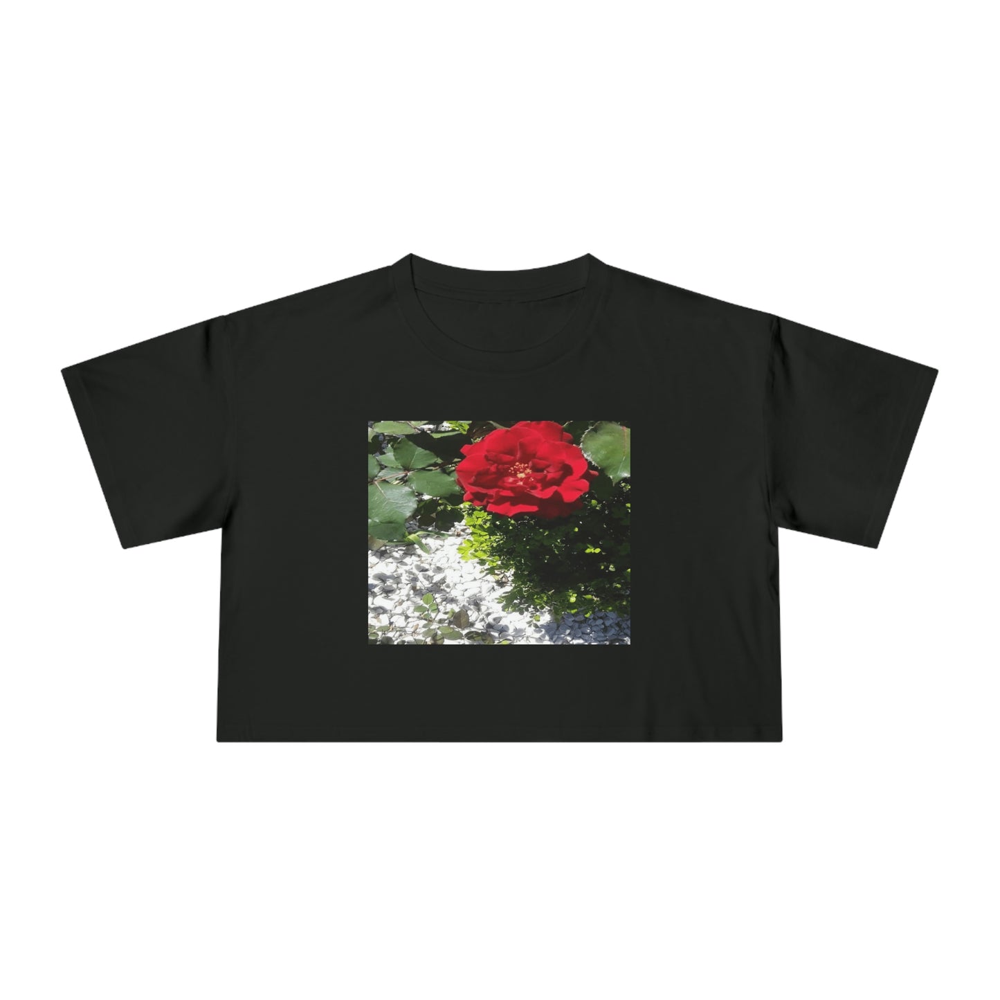 Women's Crop Tee with Europeana Red Rose Signature Print