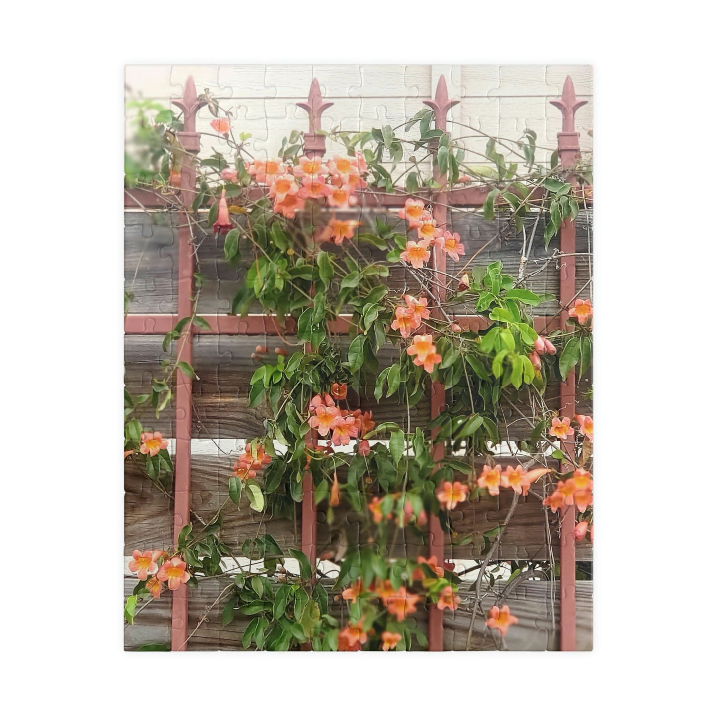 Flowers On A Rugged Fence | Puzzle | 110 252 500 1014 pc | High Bloom Collection | Life By Ortavia