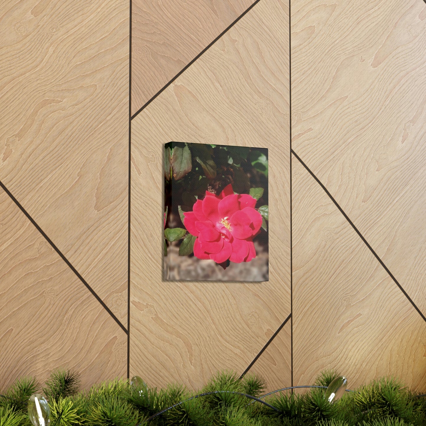 Knockout | Wall Art Print | High Bloom Collection | Life By Ortavia