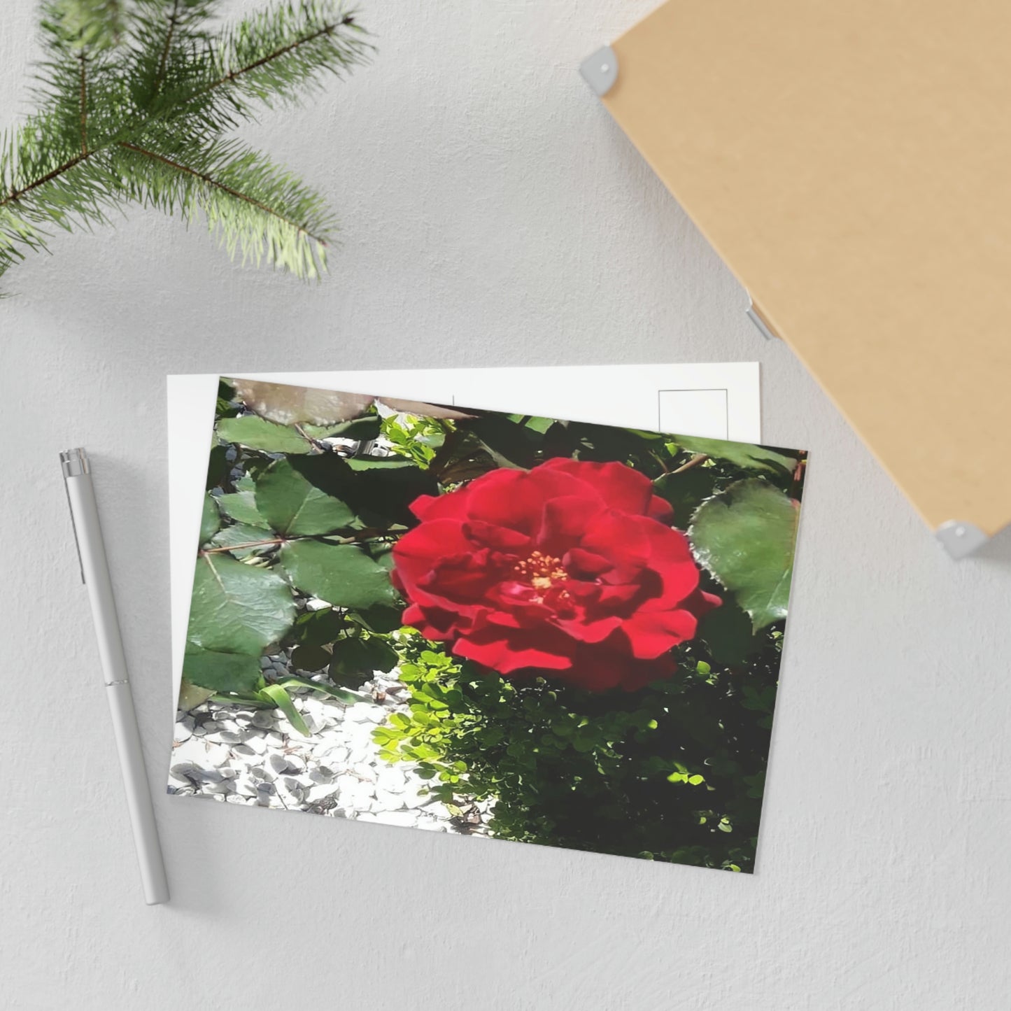 Europeana Red Rose Fine Art Postcards
