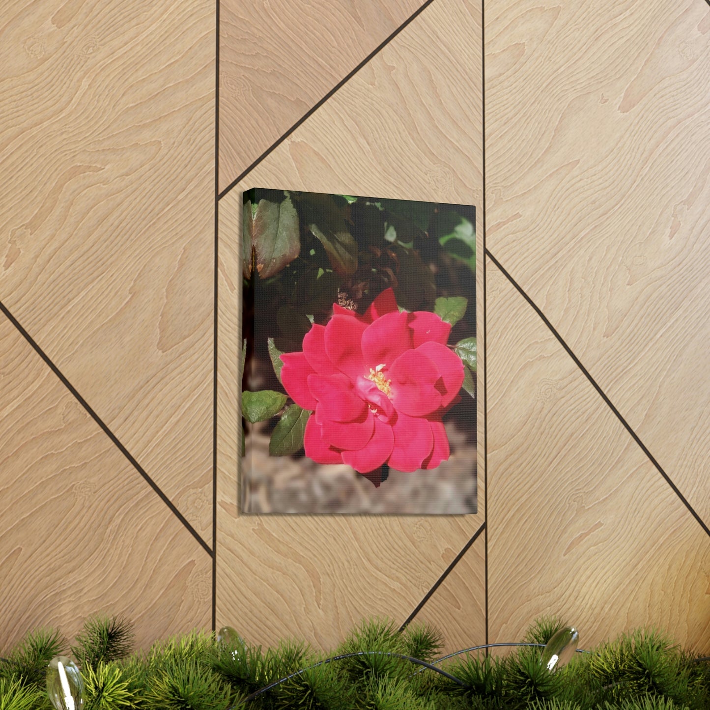 Knockout | Wall Art Print | High Bloom Collection | Life By Ortavia