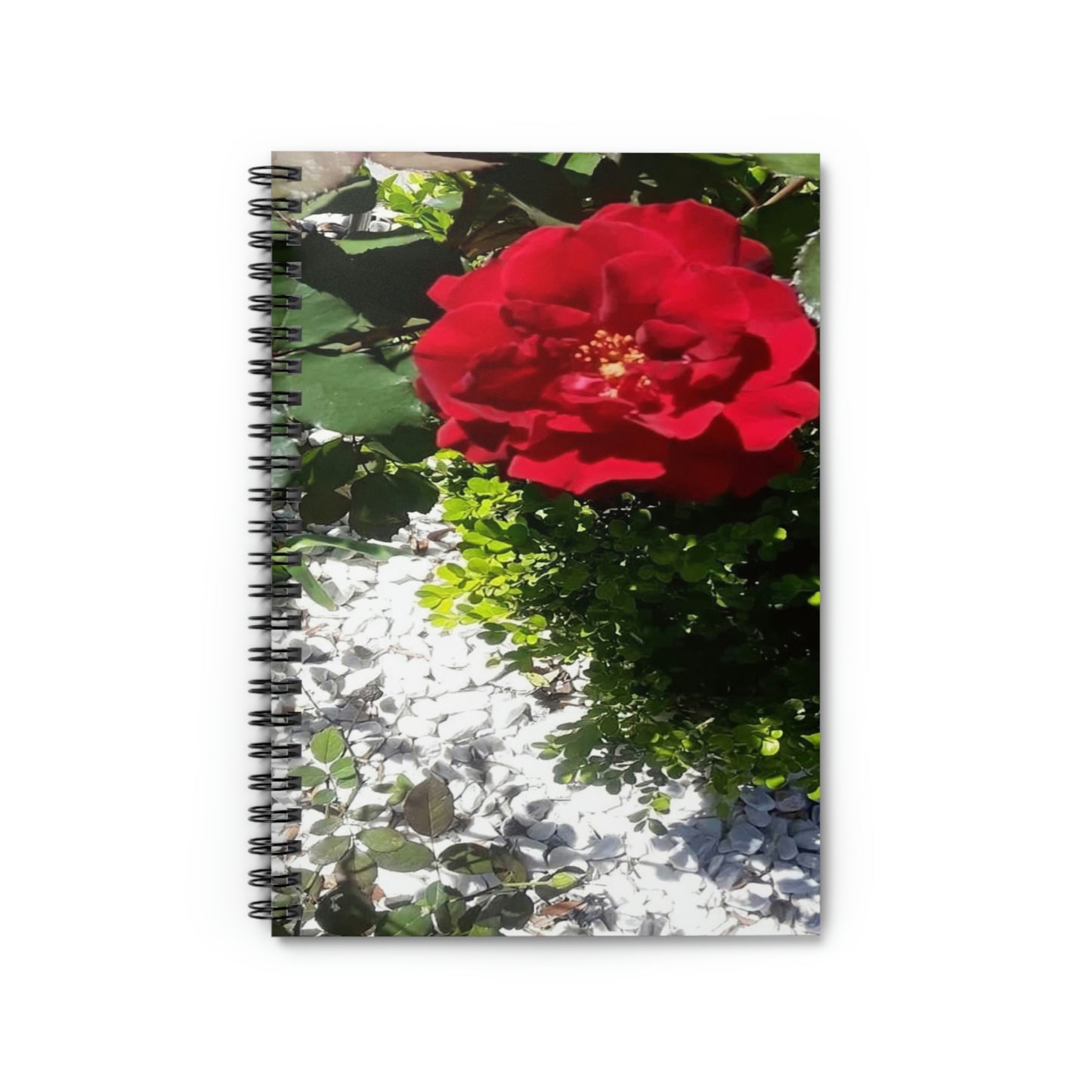 Europeana Red Rose | Spiral Notebook 118 pg Ruled | High Bloom Collection | Life By Ortavia