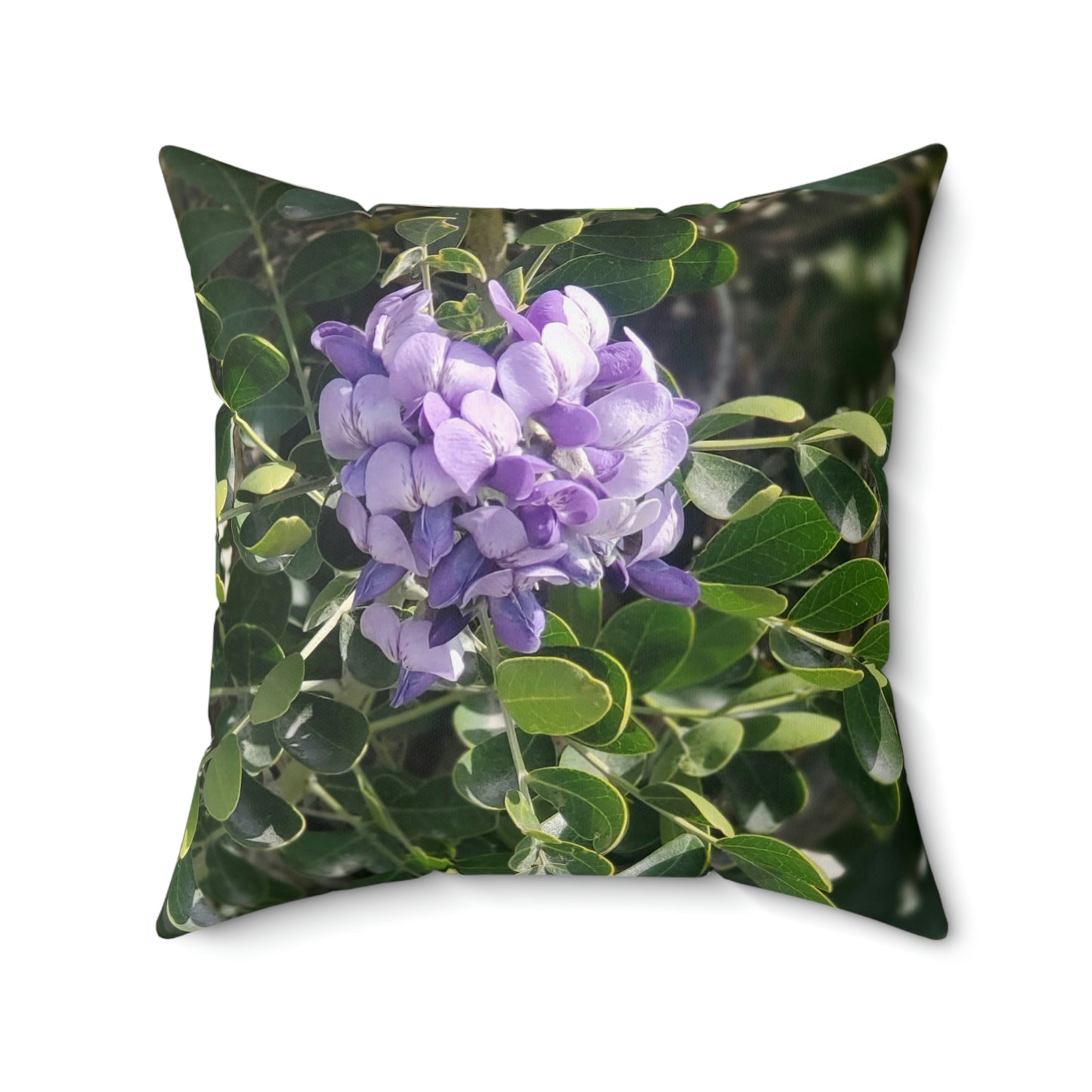 Purple Texas Mountain Laurel | Throw Pillow