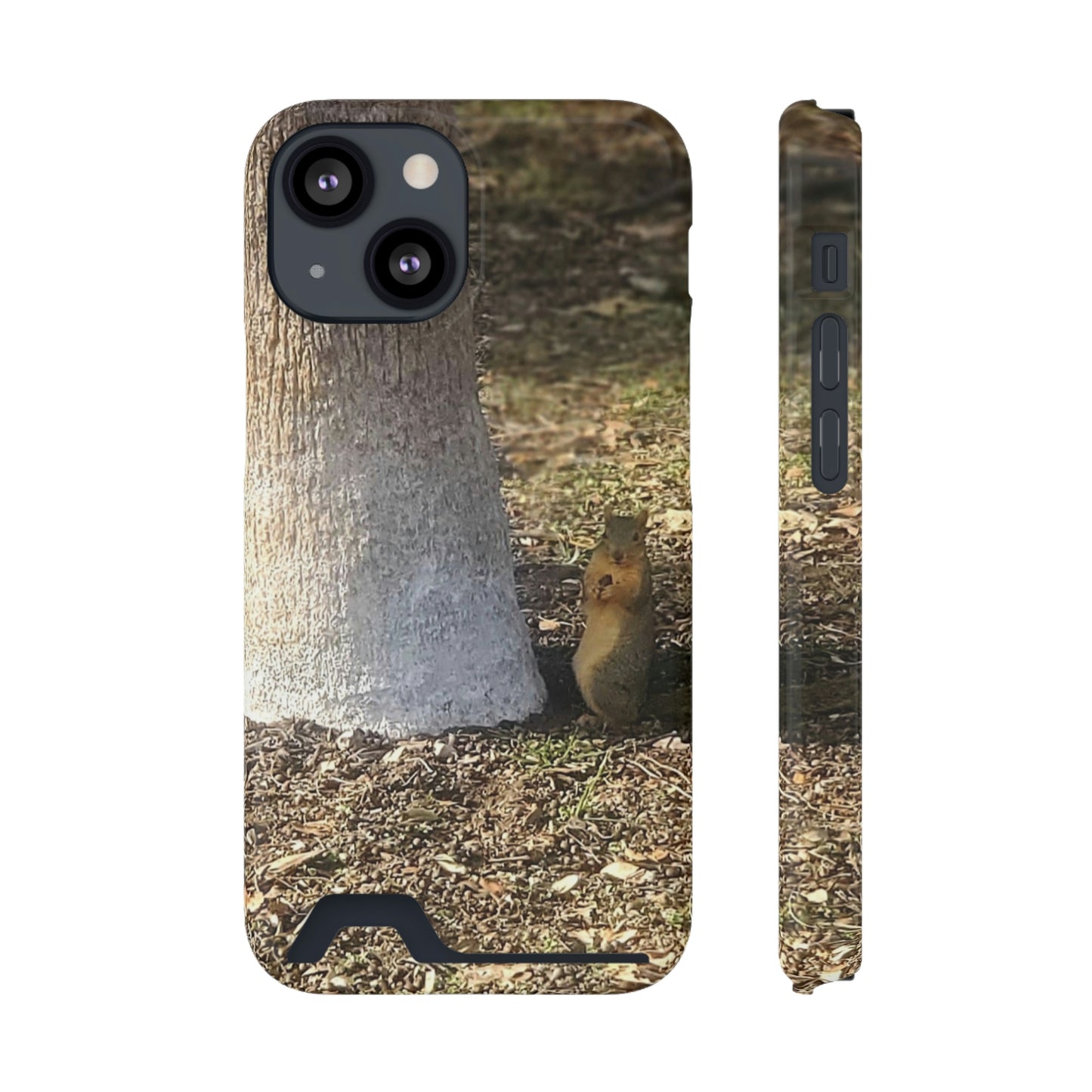 Squirrel and A Nut | Phone Case with Card Holder | Urban Geographic Collection | Life By Ortavia