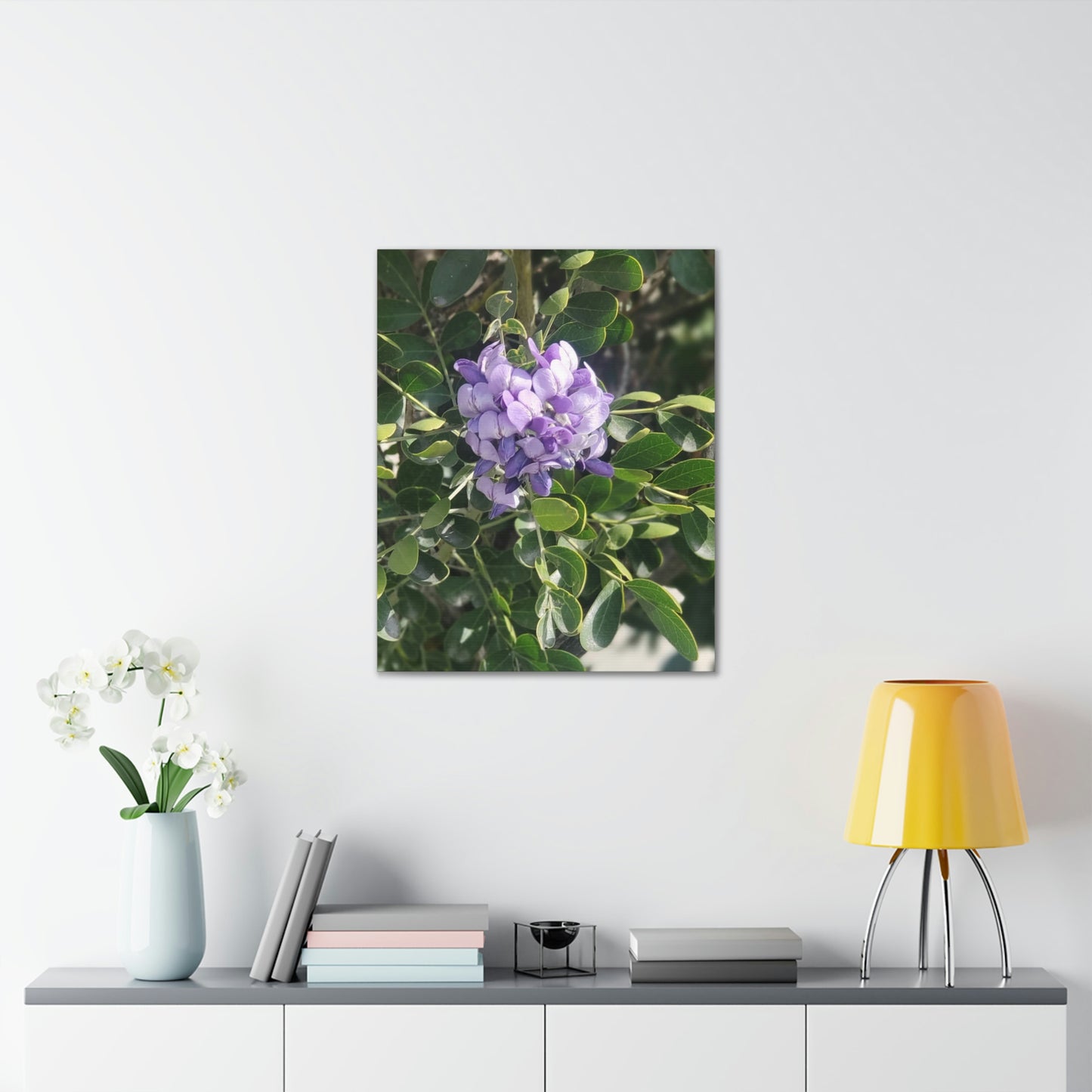 Purple Texas Mountain Laurel | Wall Art Canvas
