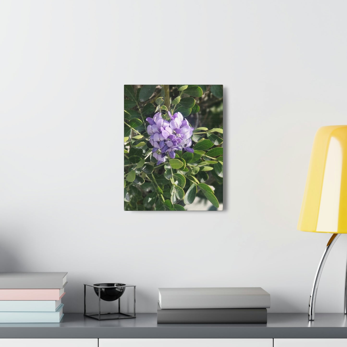 Purple Texas Mountain Laurel | Wall Art Canvas