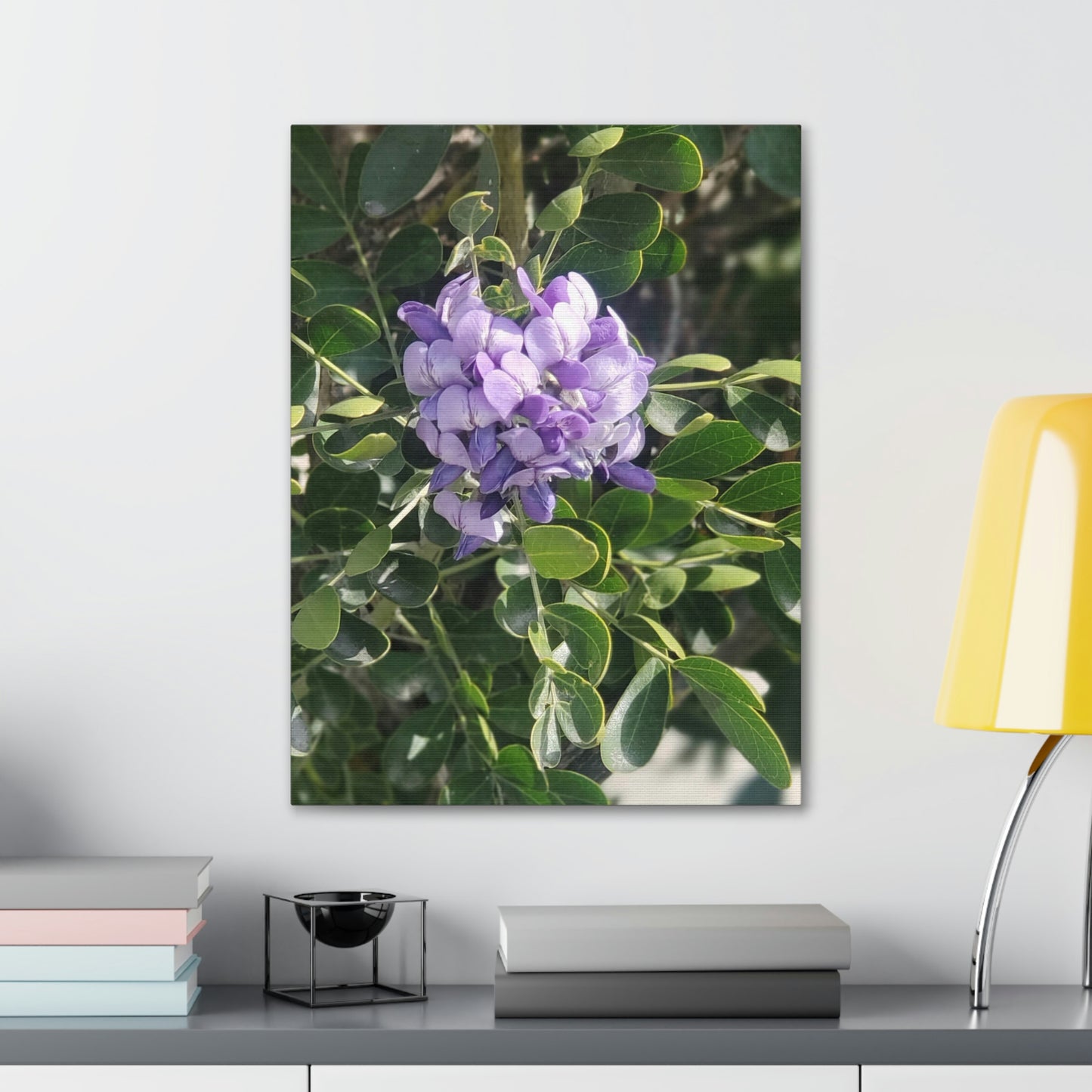 Purple Texas Mountain Laurel | Wall Art Canvas
