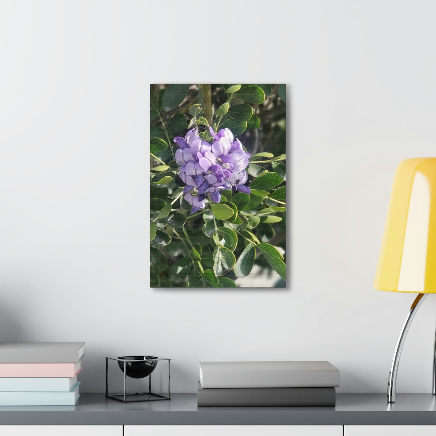 Purple Texas Mountain Laurel | Wall Art Canvas