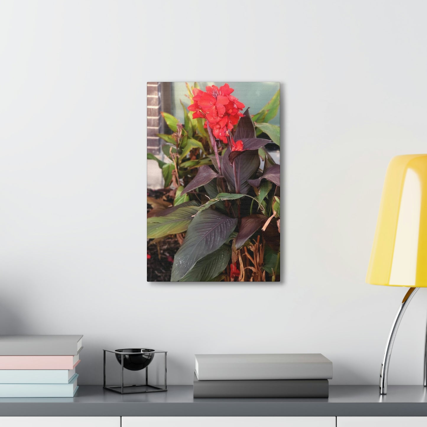 Red Canna | High Bloom Collection | Wall Art Print | Life By Ortavia