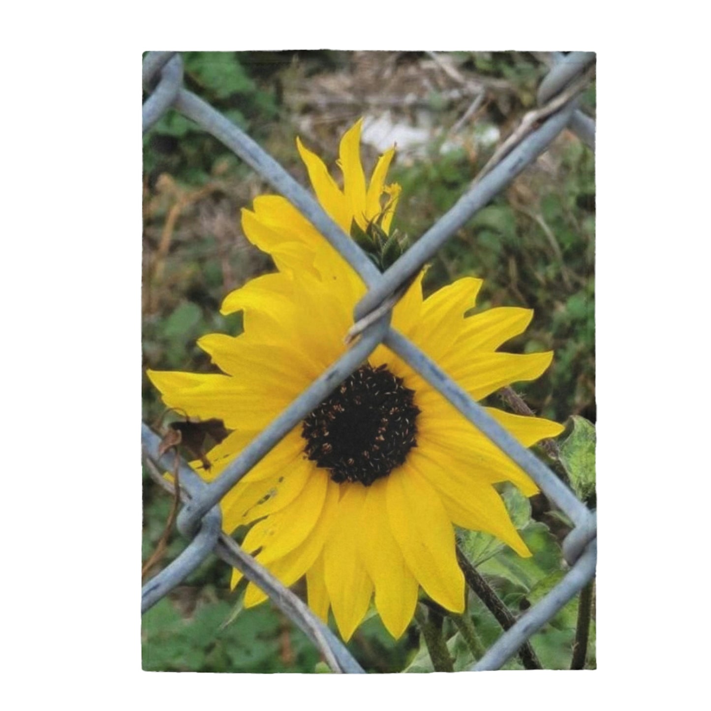 Cozy Velveteen Plush Throw Blanket with Sunflower Behind A Fence Design 30x40 50x60 60x80