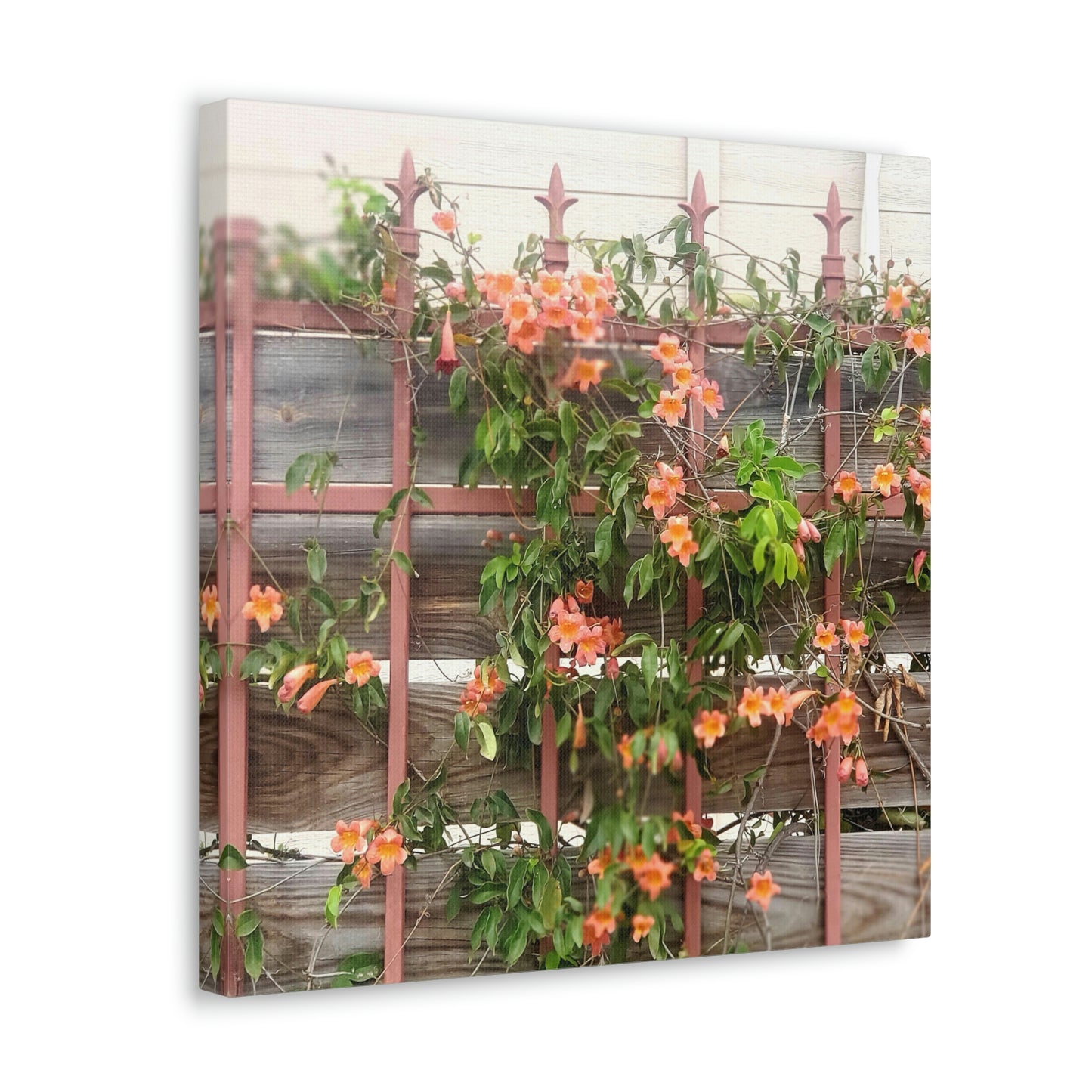 Flowers On A Rugged Fence | Wall Art Canvas | High Bloom Collection | Life By Ortavia