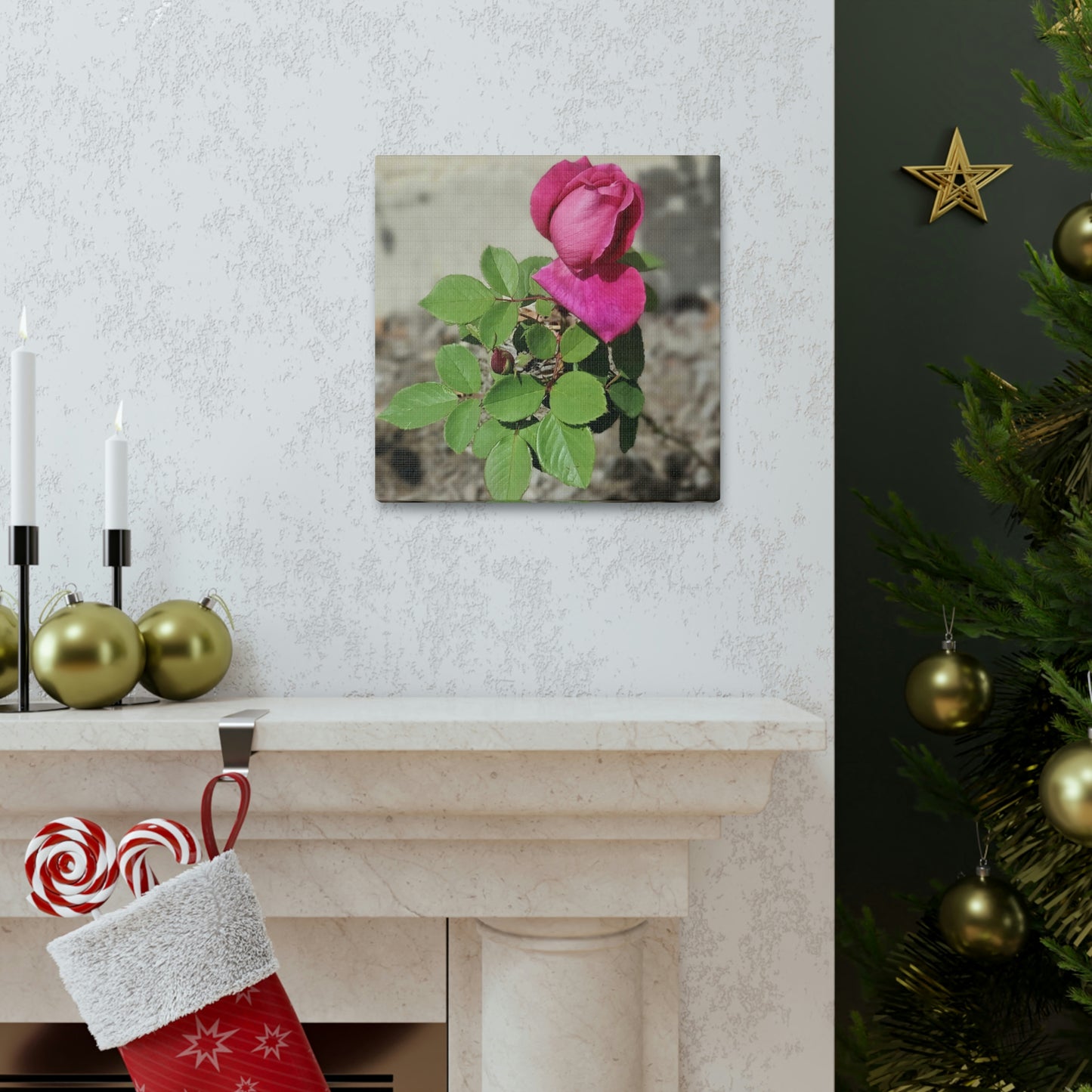 Dear Pink Rosa | High Bloom Collection | Canvas | Life By Ortavia