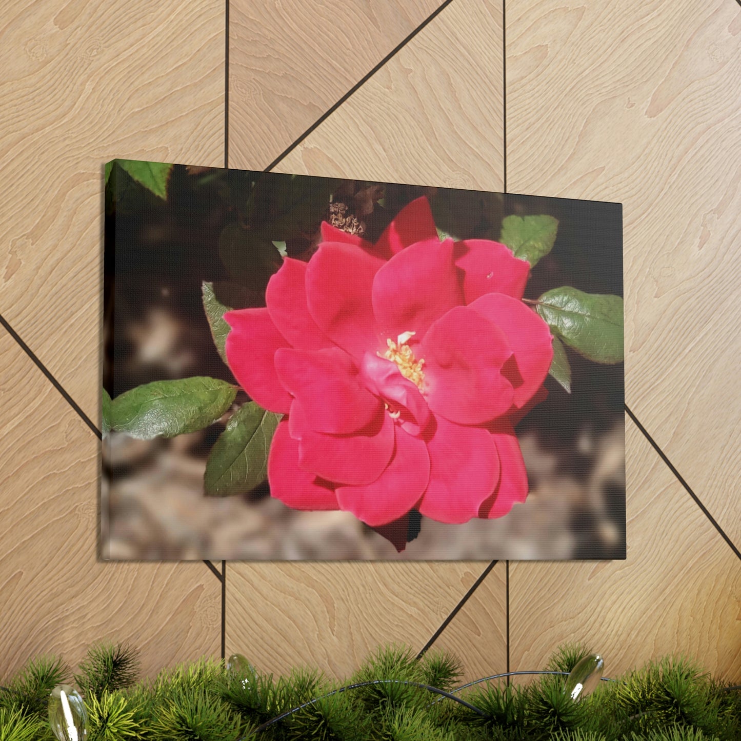 Knockout | Wall Art Print | High Bloom Collection | Life By Ortavia