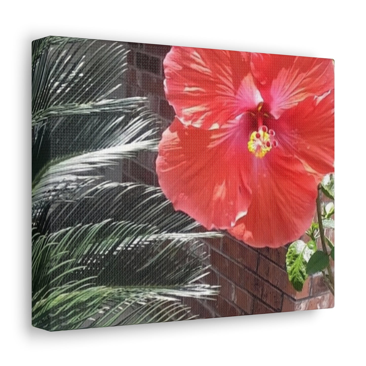Art Prints & Wall Art, Gallery Canvas with Peach Hibiscus Flower