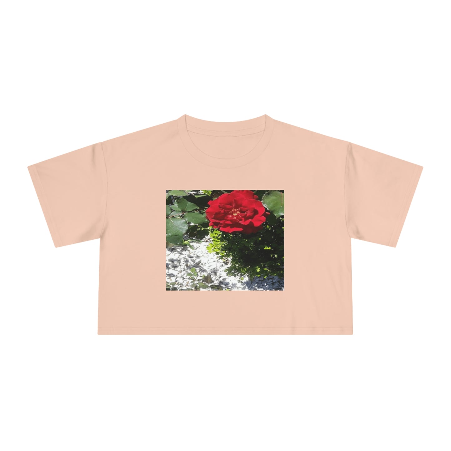 Women's Crop Tee with Europeana Red Rose Signature Print