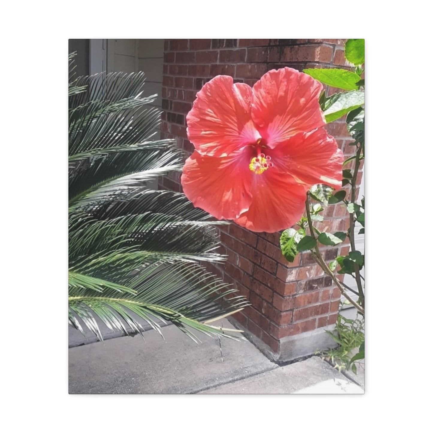 Art Prints & Wall Art, Gallery Canvas with Peach Hibiscus Flower