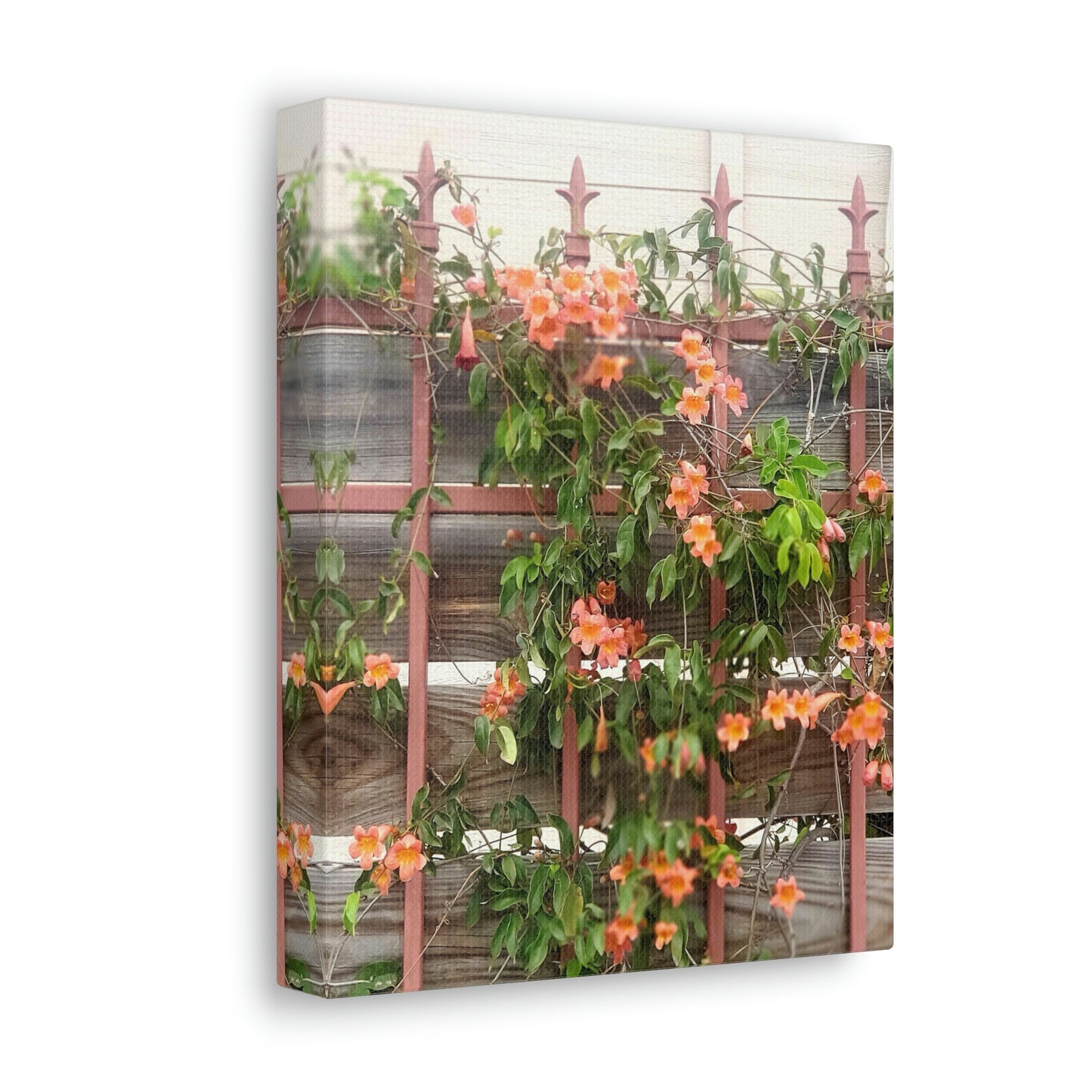 Flowers On A Rugged Fence | Wall Art Canvas | High Bloom Collection | Life By Ortavia