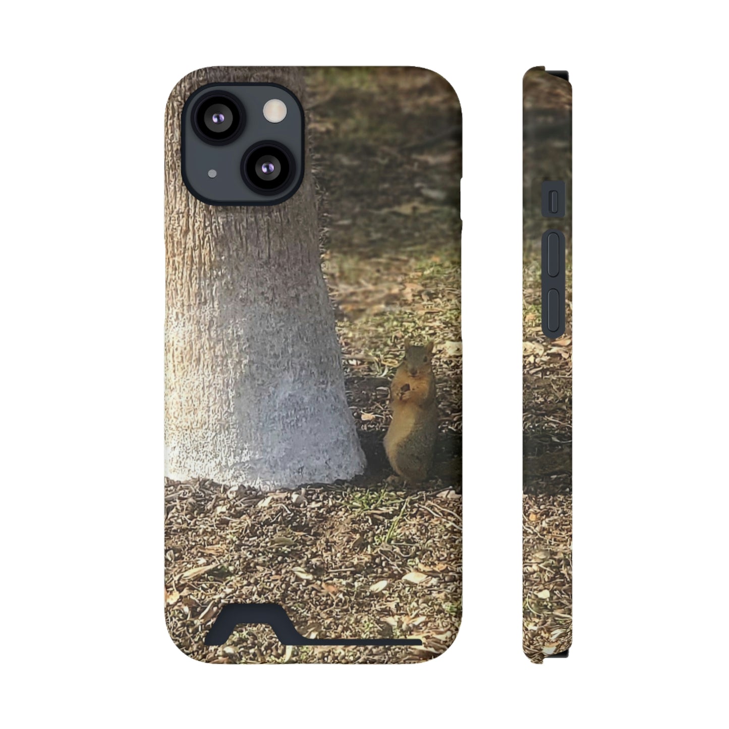 Squirrel and A Nut | Phone Case with Card Holder | Urban Geographic Collection | Life By Ortavia