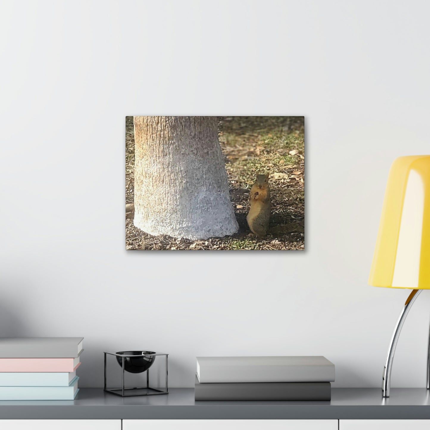 Squirrel and A Nut | Wall Art Print | Urban Geographic Collection | Life By Ortavia