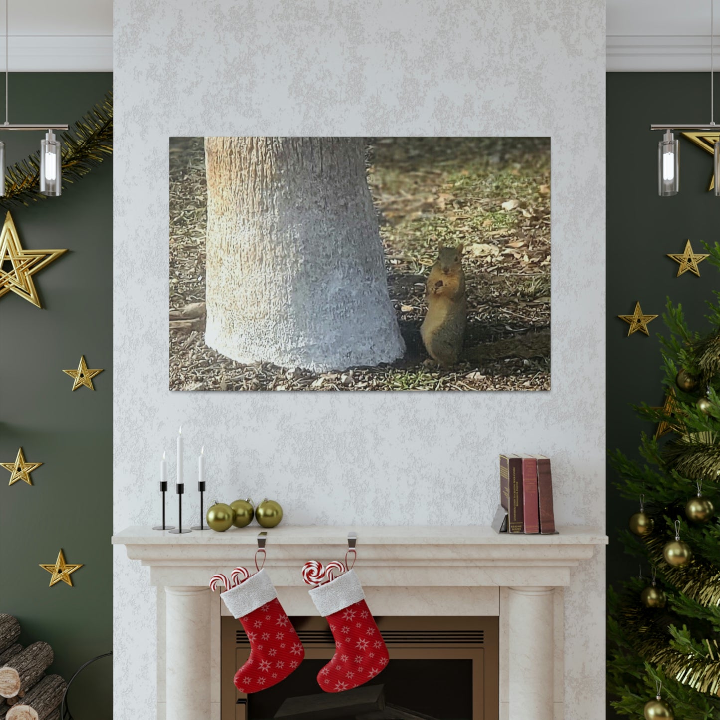 Squirrel and A Nut | Wall Art Print | Urban Geographic Collection | Life By Ortavia