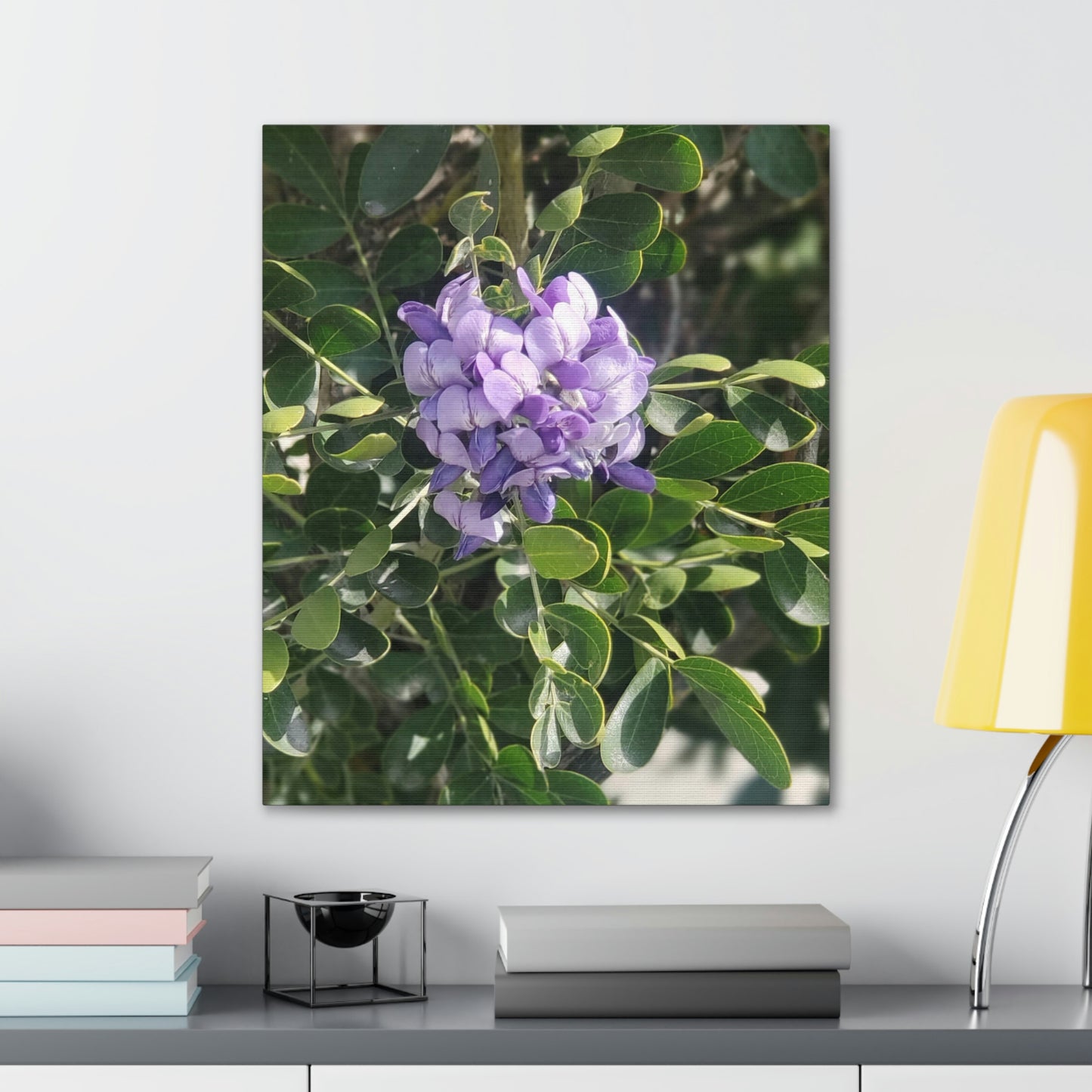Purple Texas Mountain Laurel | Wall Art Canvas