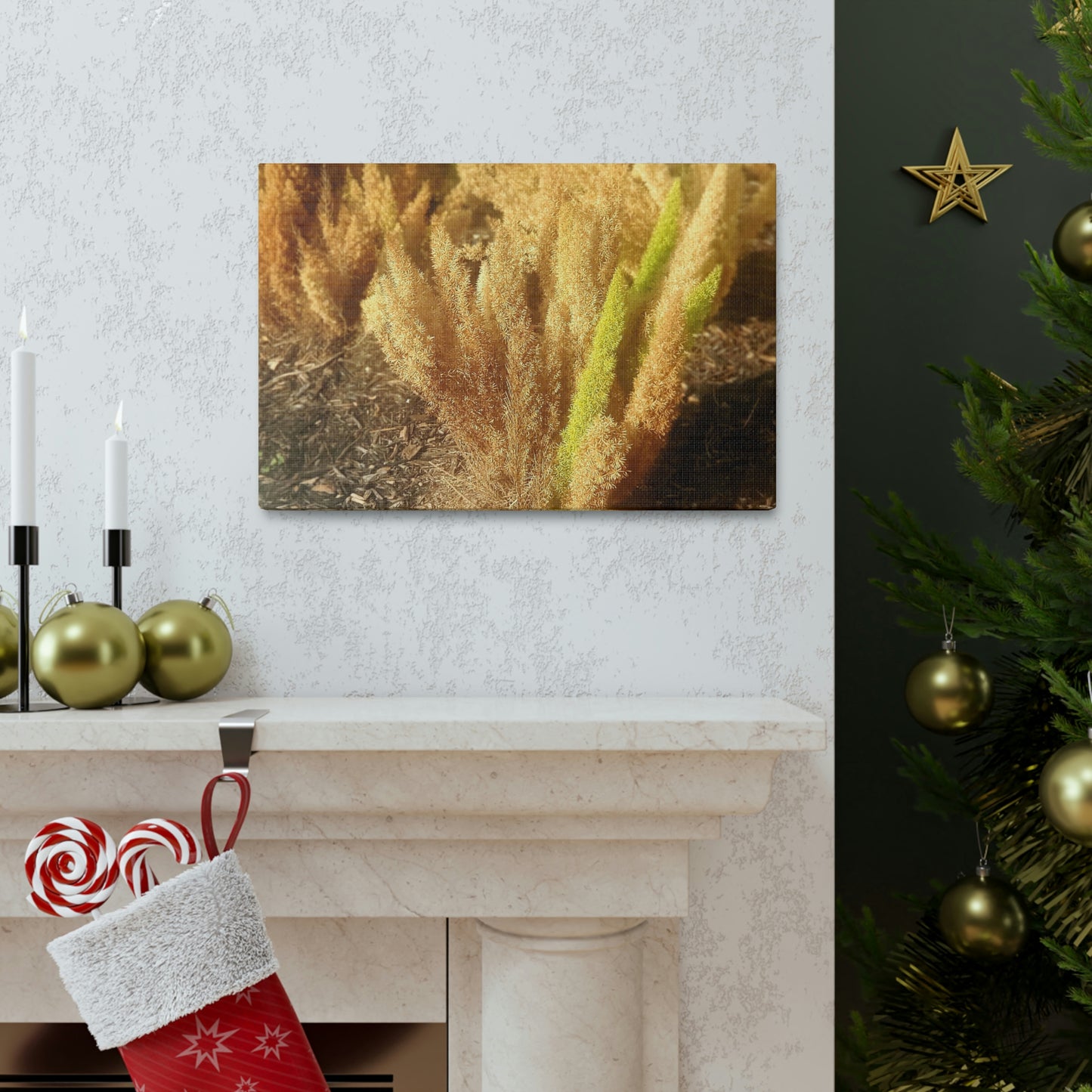 Golden Foxtail Fern | Wall Art Canvas | High Bloom Collection | Life By Ortavia