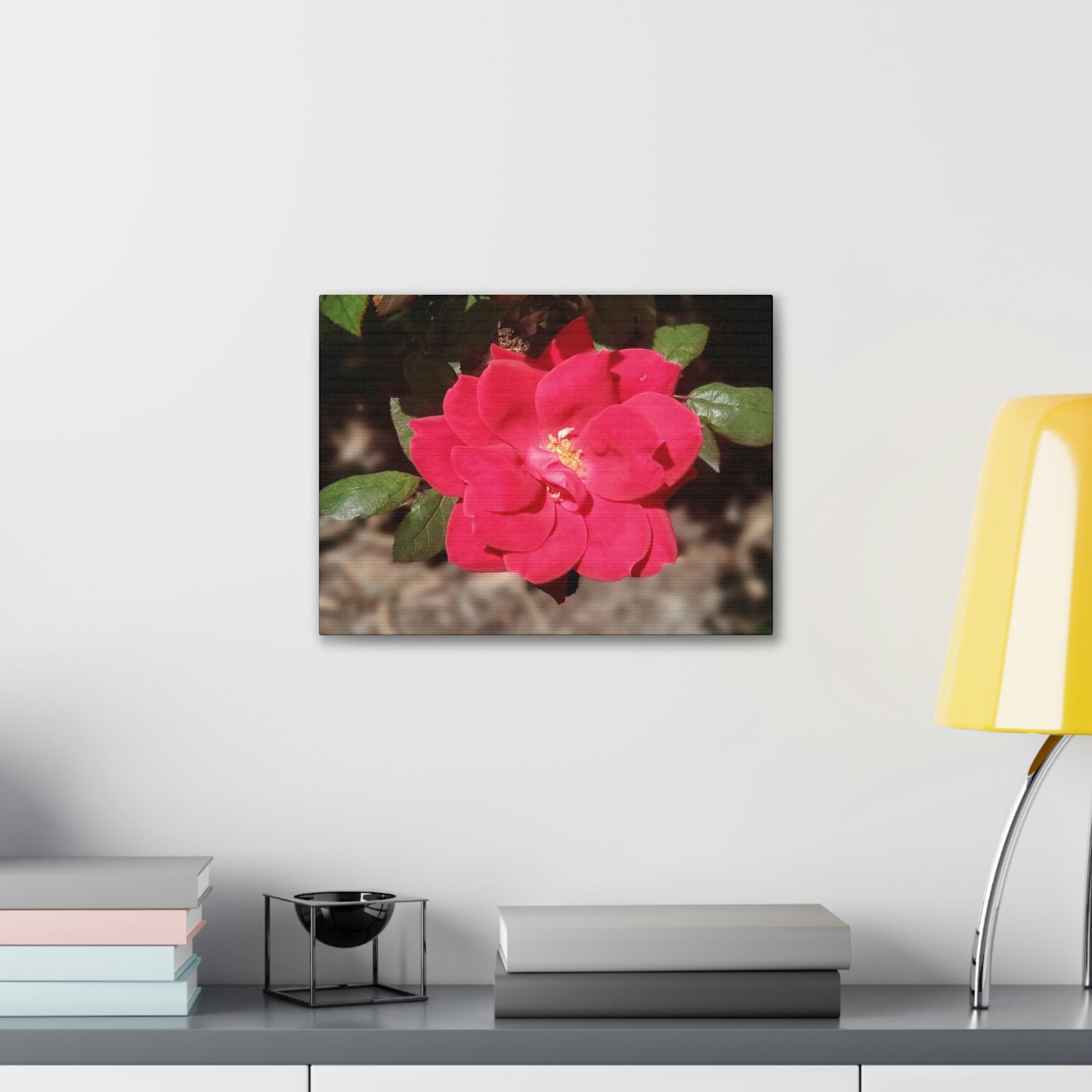 Knockout | Wall Art Print | High Bloom Collection | Life By Ortavia