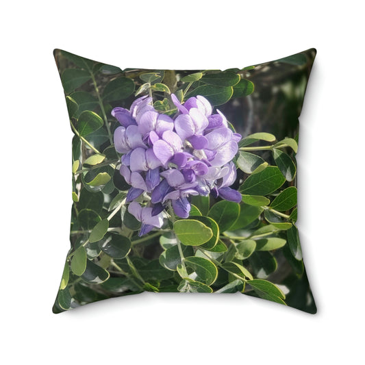 Purple Texas Mountain Laurel | Throw Pillow