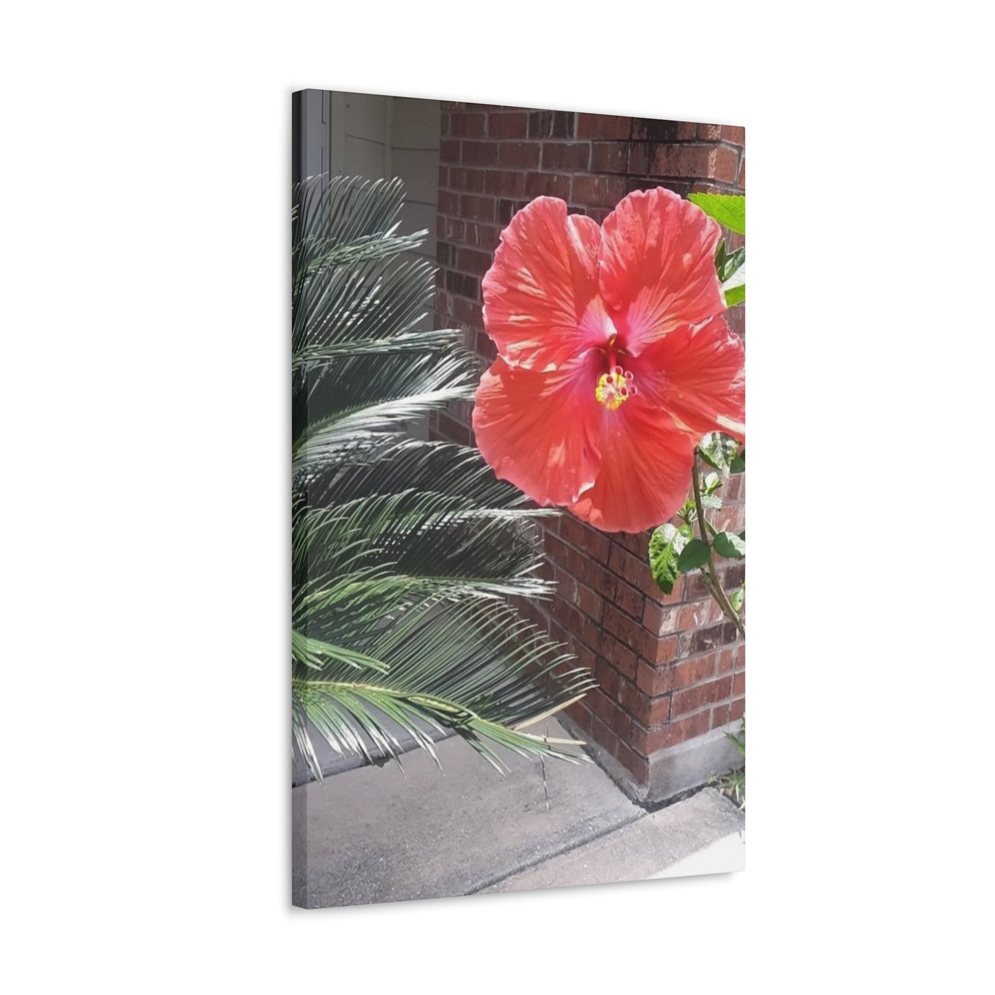 Art Prints & Wall Art, Gallery Canvas with Peach Hibiscus Flower