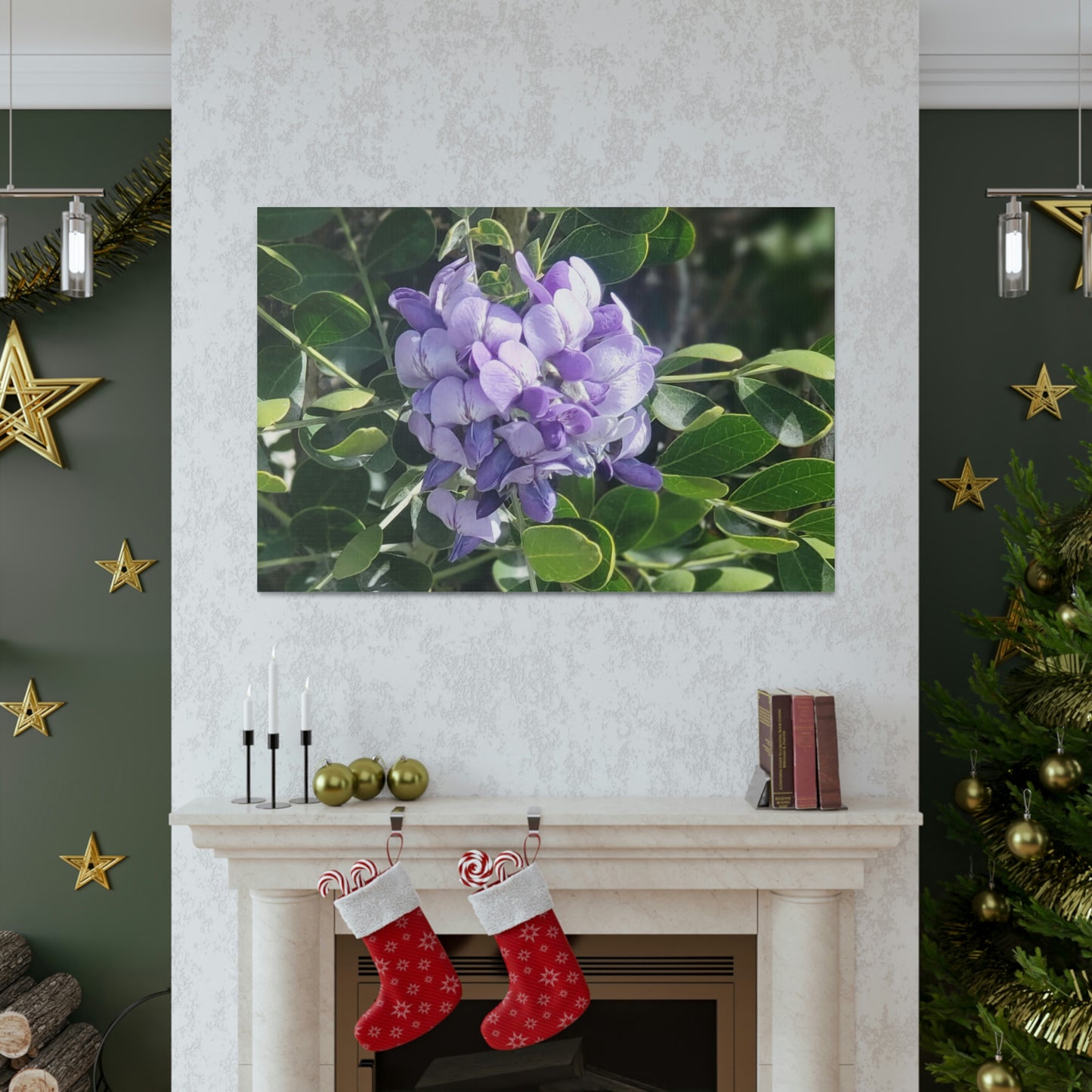 Purple Texas Mountain Laurel | Wall Art Canvas