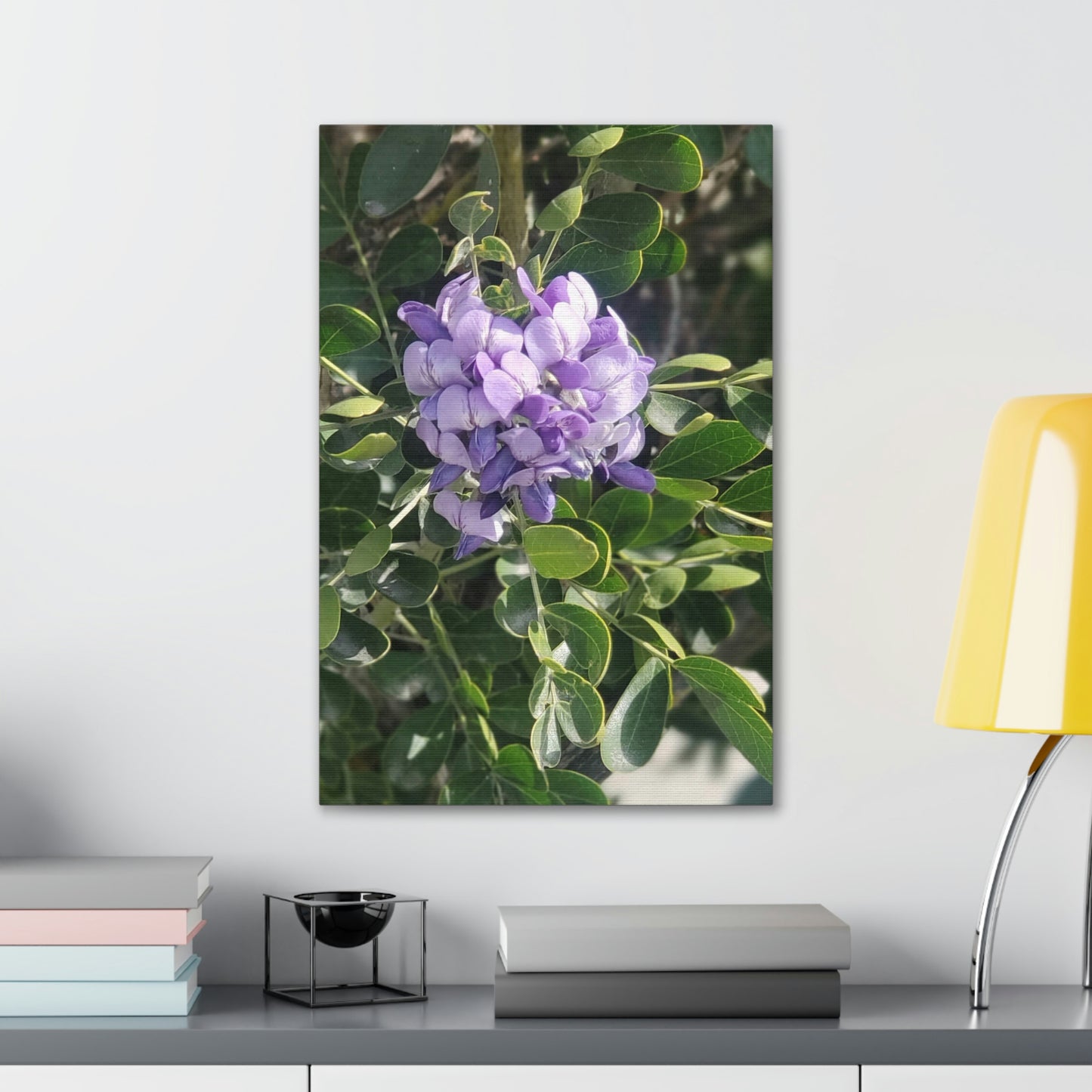Purple Texas Mountain Laurel | Wall Art Canvas