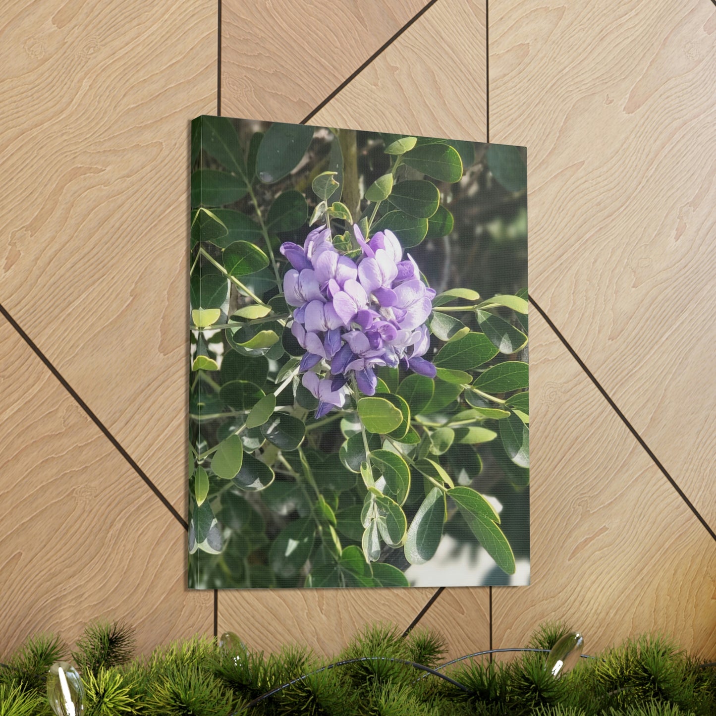 Purple Texas Mountain Laurel | Wall Art Canvas
