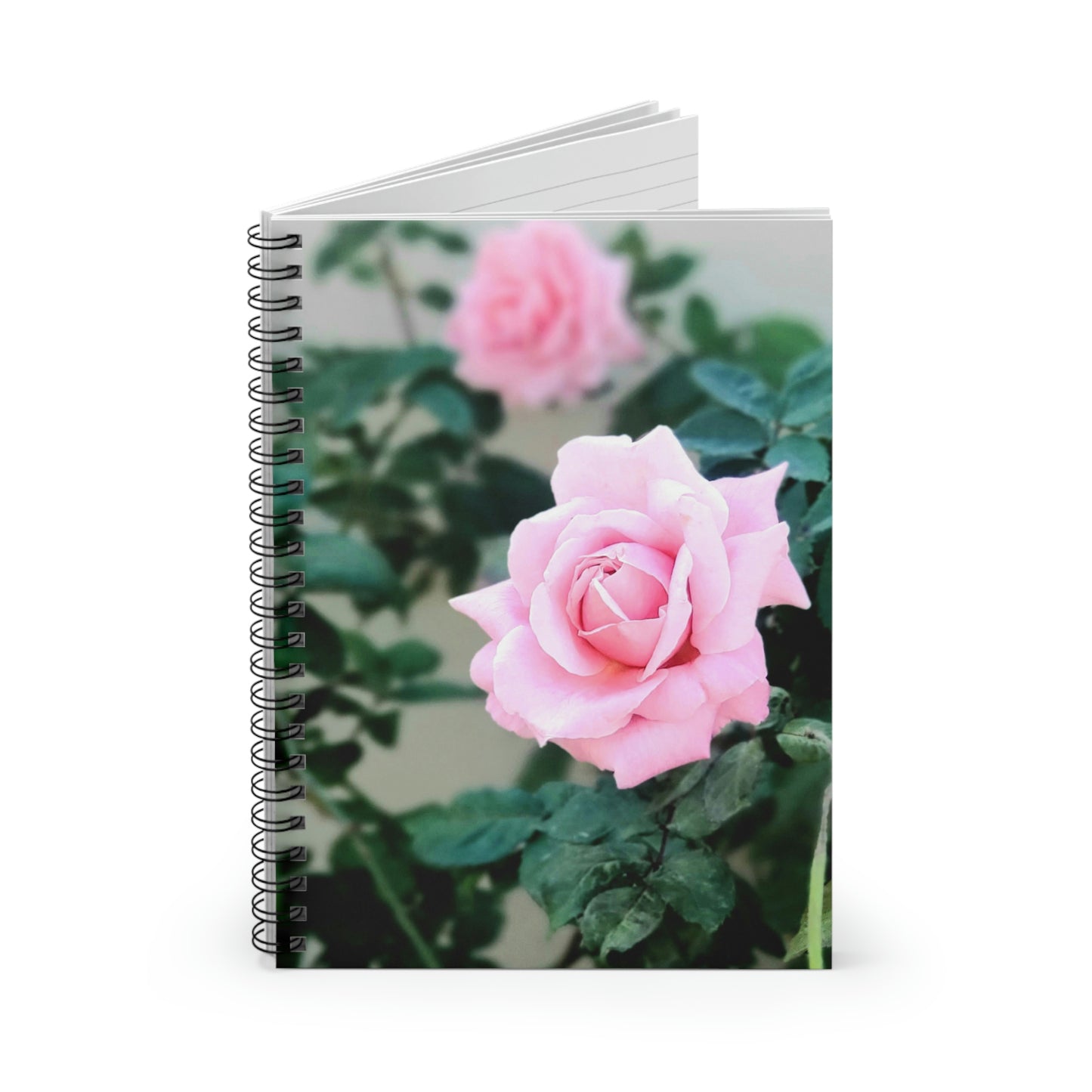 Focus On A Pink Rose | Spiral Notebook 118 pg Ruled | High Bloom Collection | Life By Ortavia